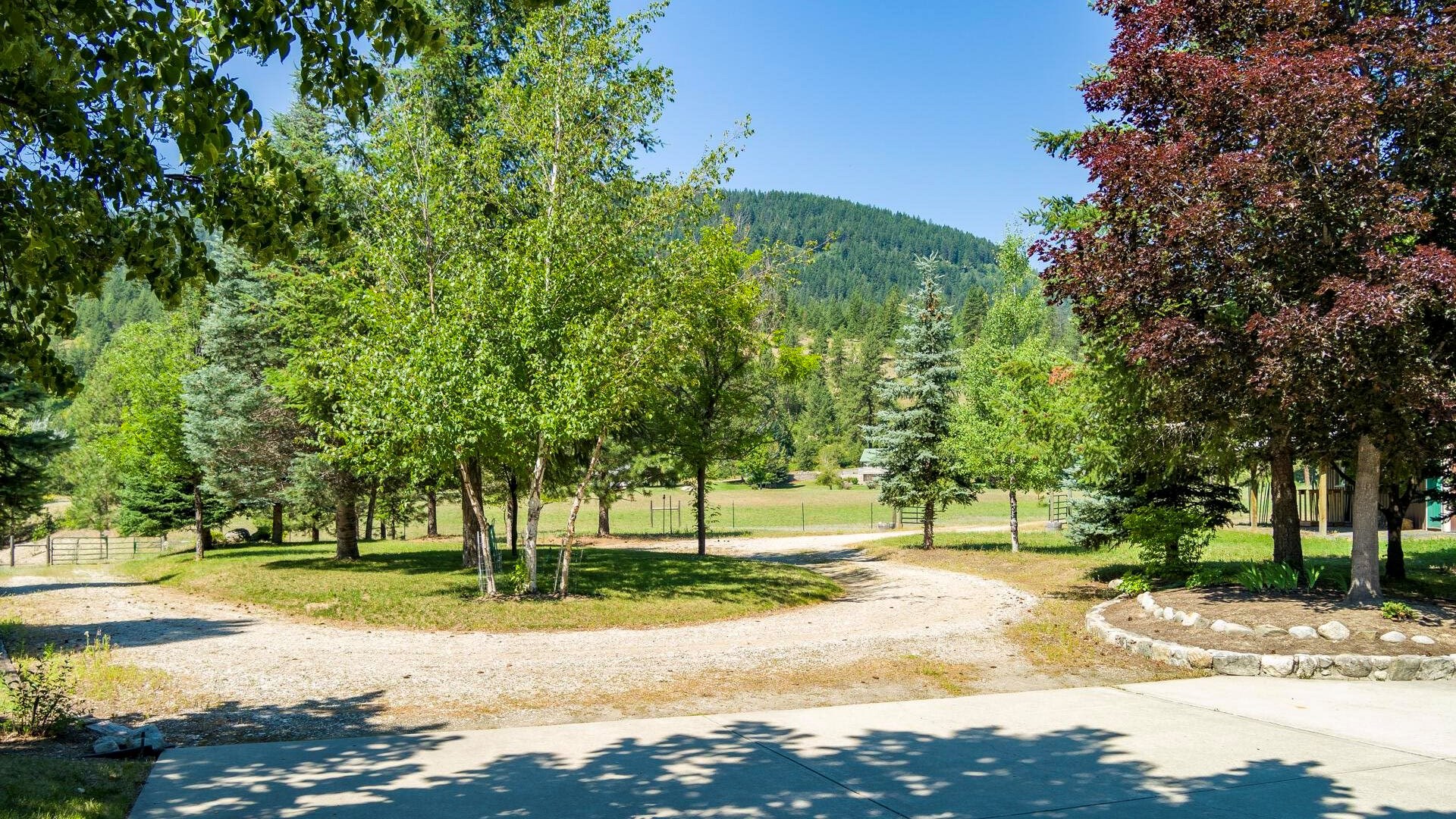 169 Barnaby Creek South Side Rd - Photo 19
