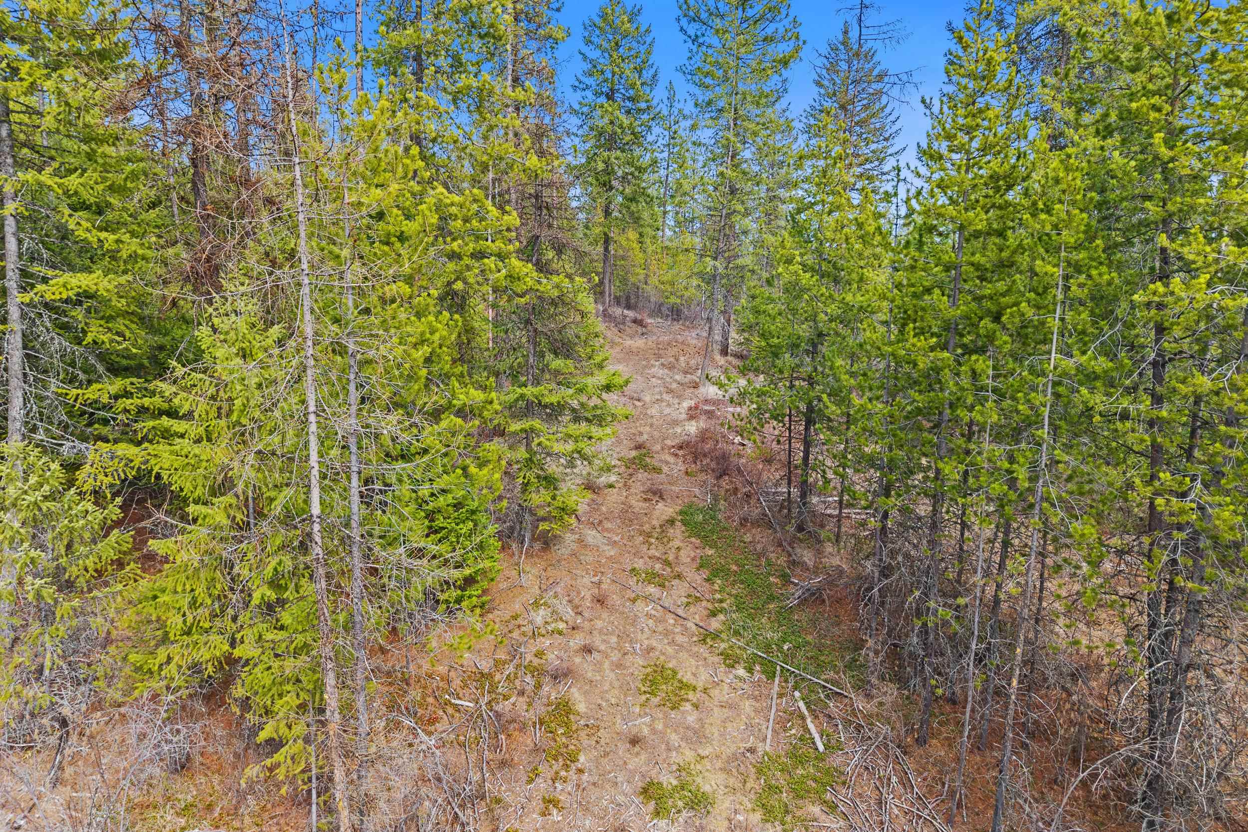 NKA Orin Rice Rd - Photo 25