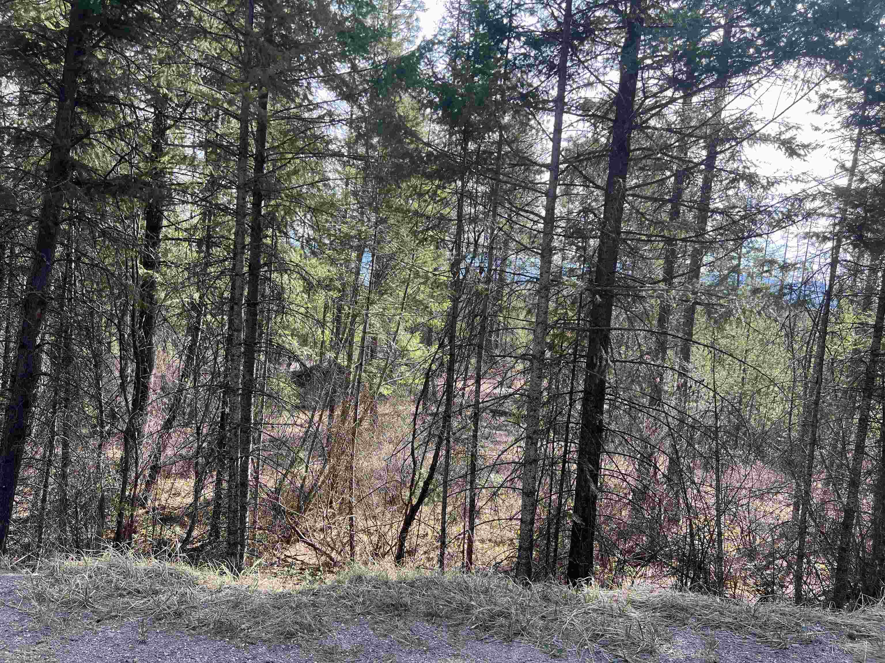 NKA Orin Rice Rd - Photo 5