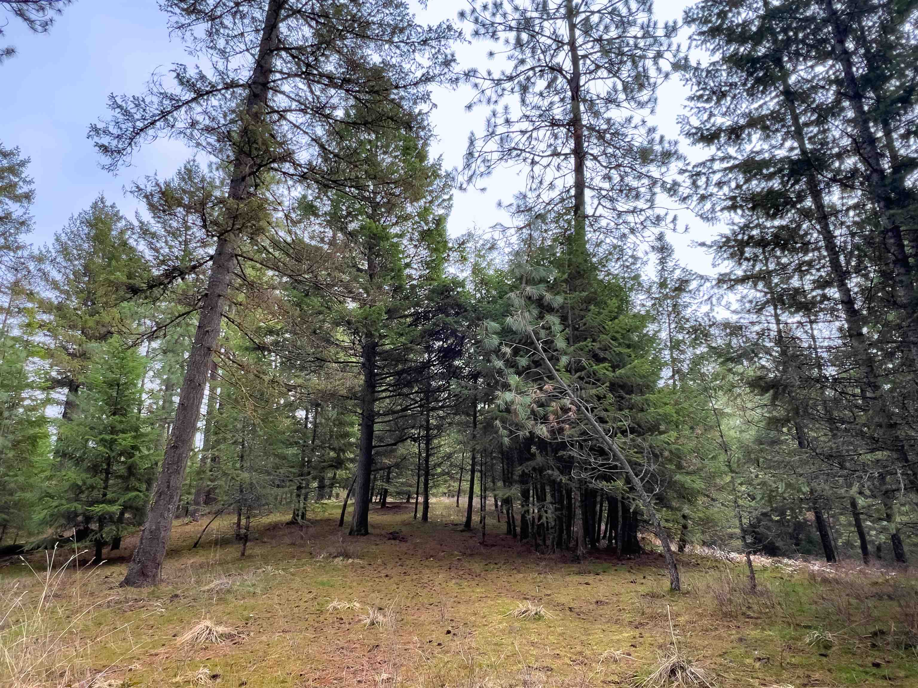 4591 Jepsen Rd - Photo 13