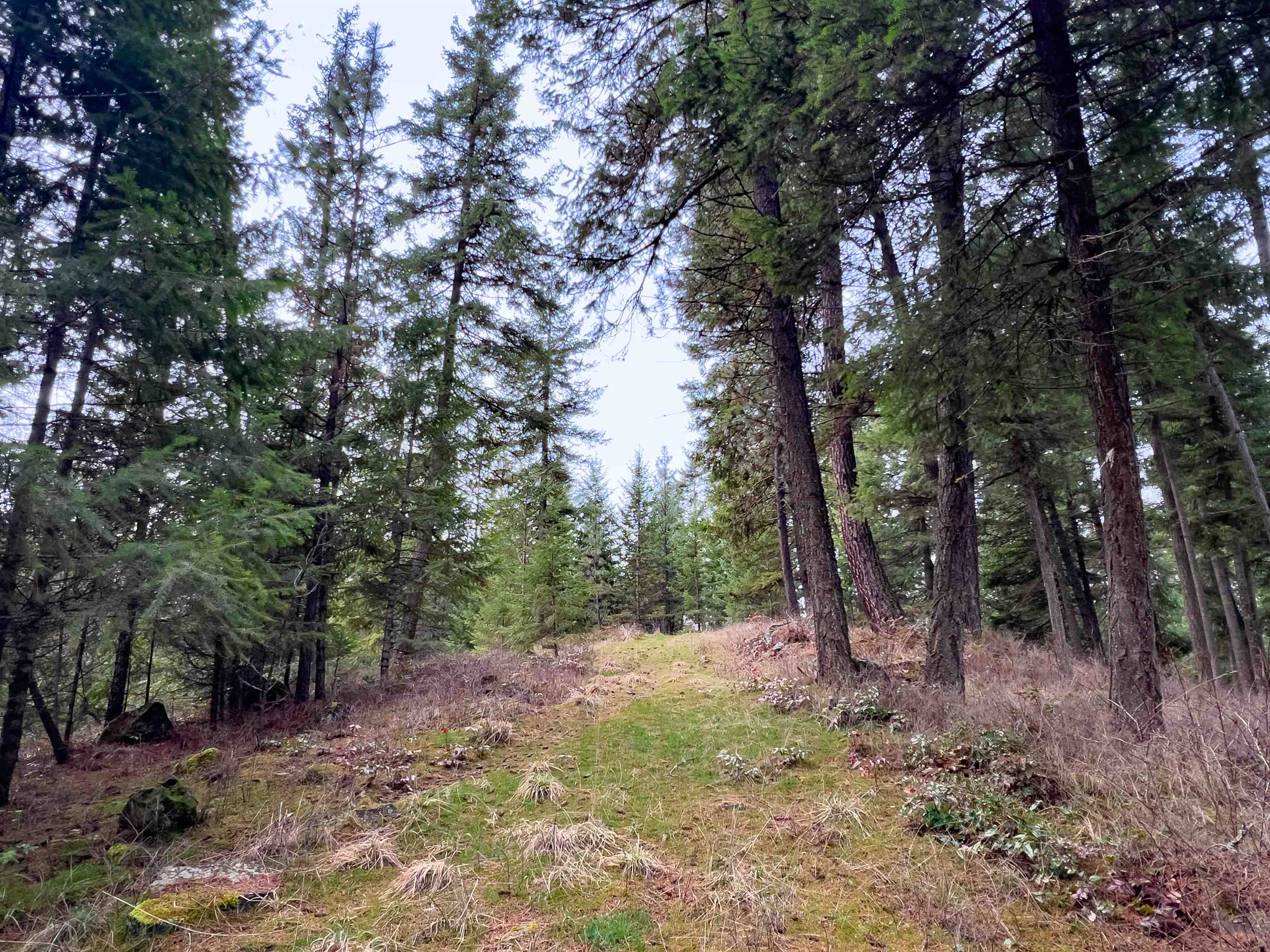 4591 Jepsen Rd - Photo 14
