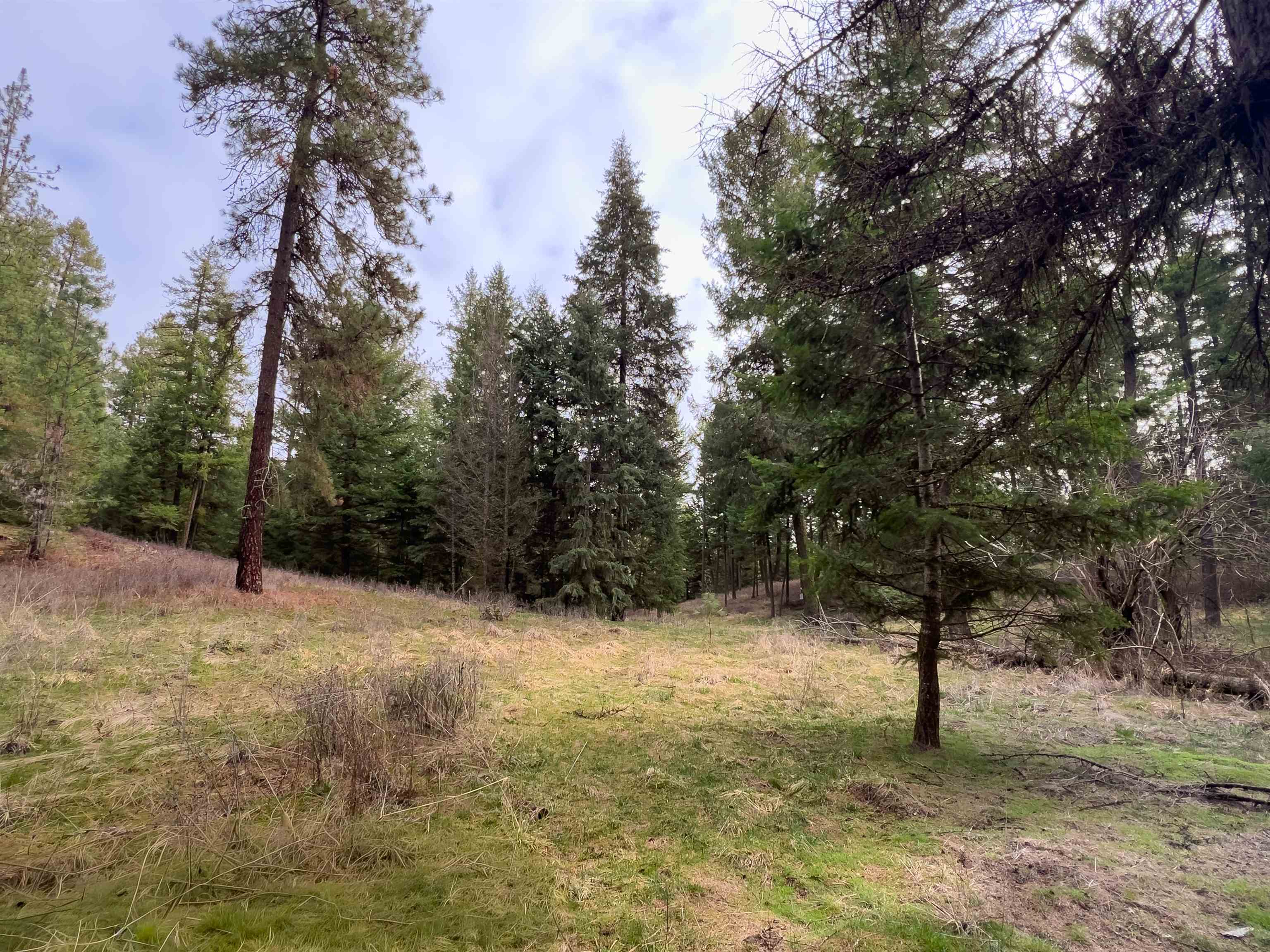 4591 Jepsen Rd - Photo 5