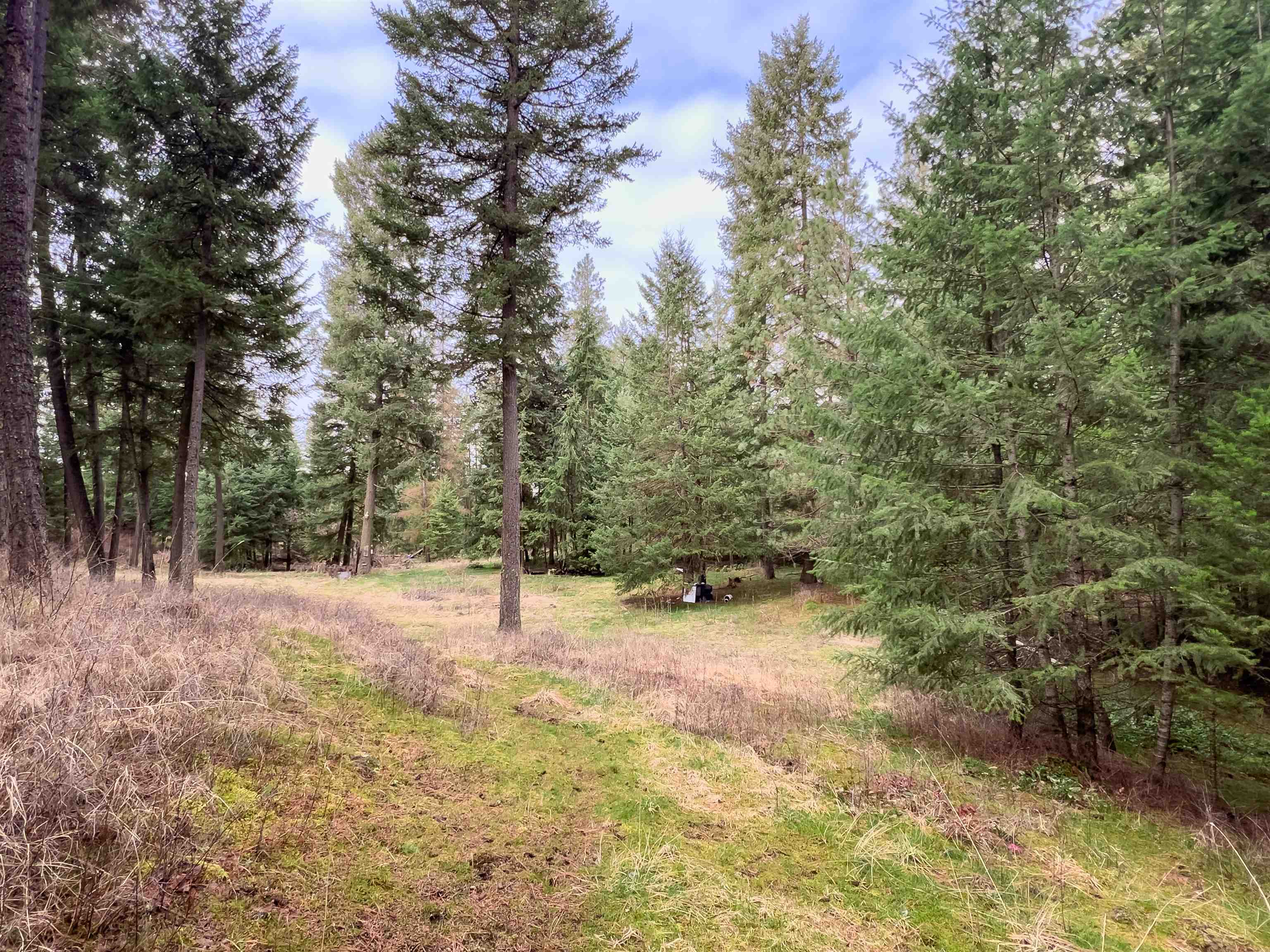 4591 Jepsen Rd - Photo 6