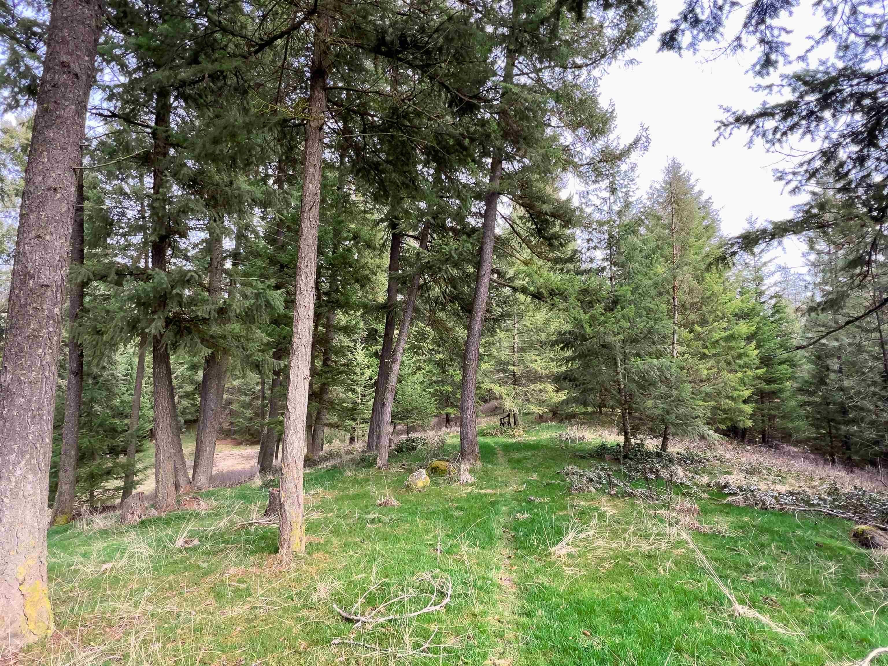 4591 Jepsen Rd - Photo 7