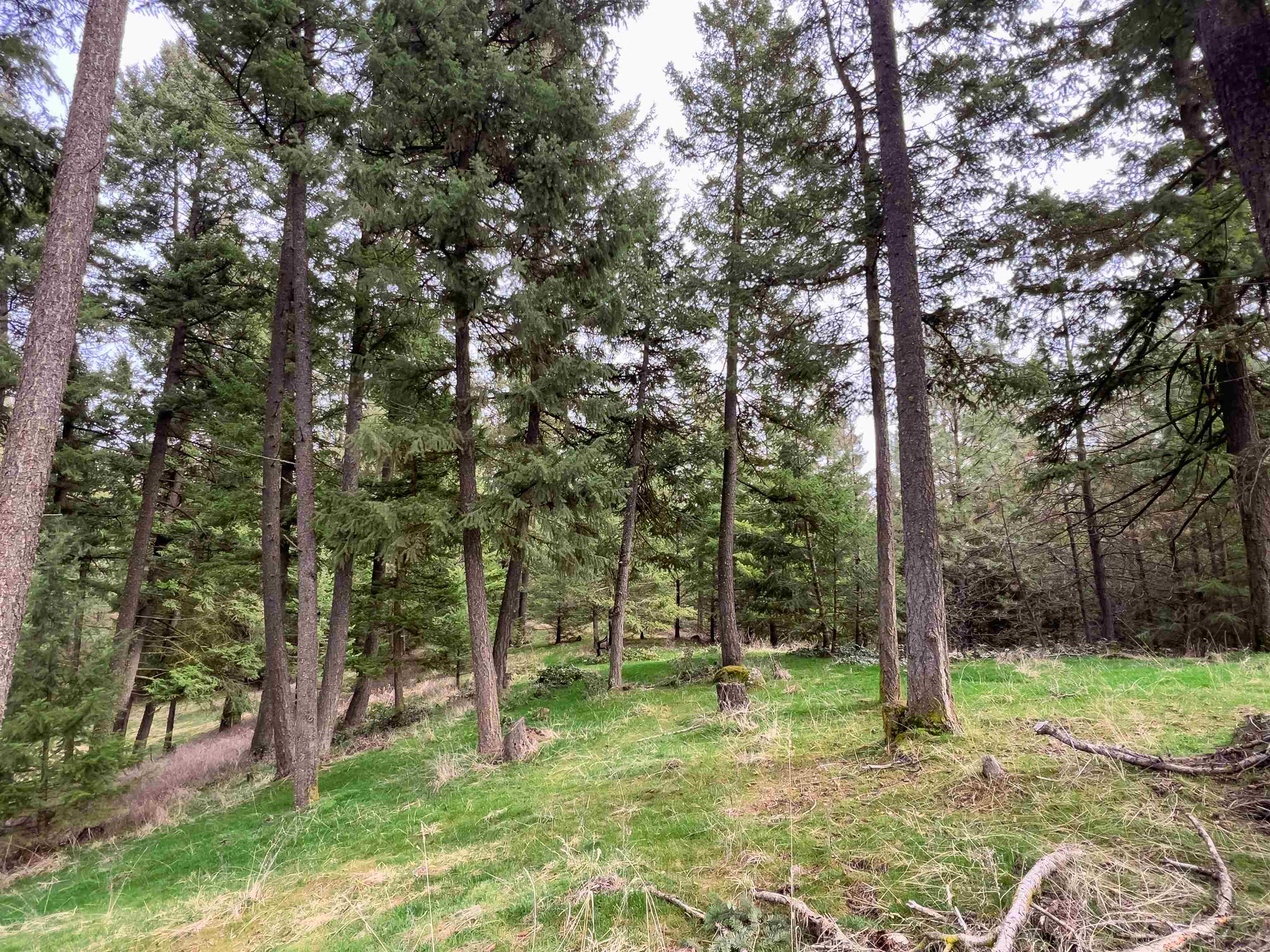 4591 Jepsen Rd - Photo 8