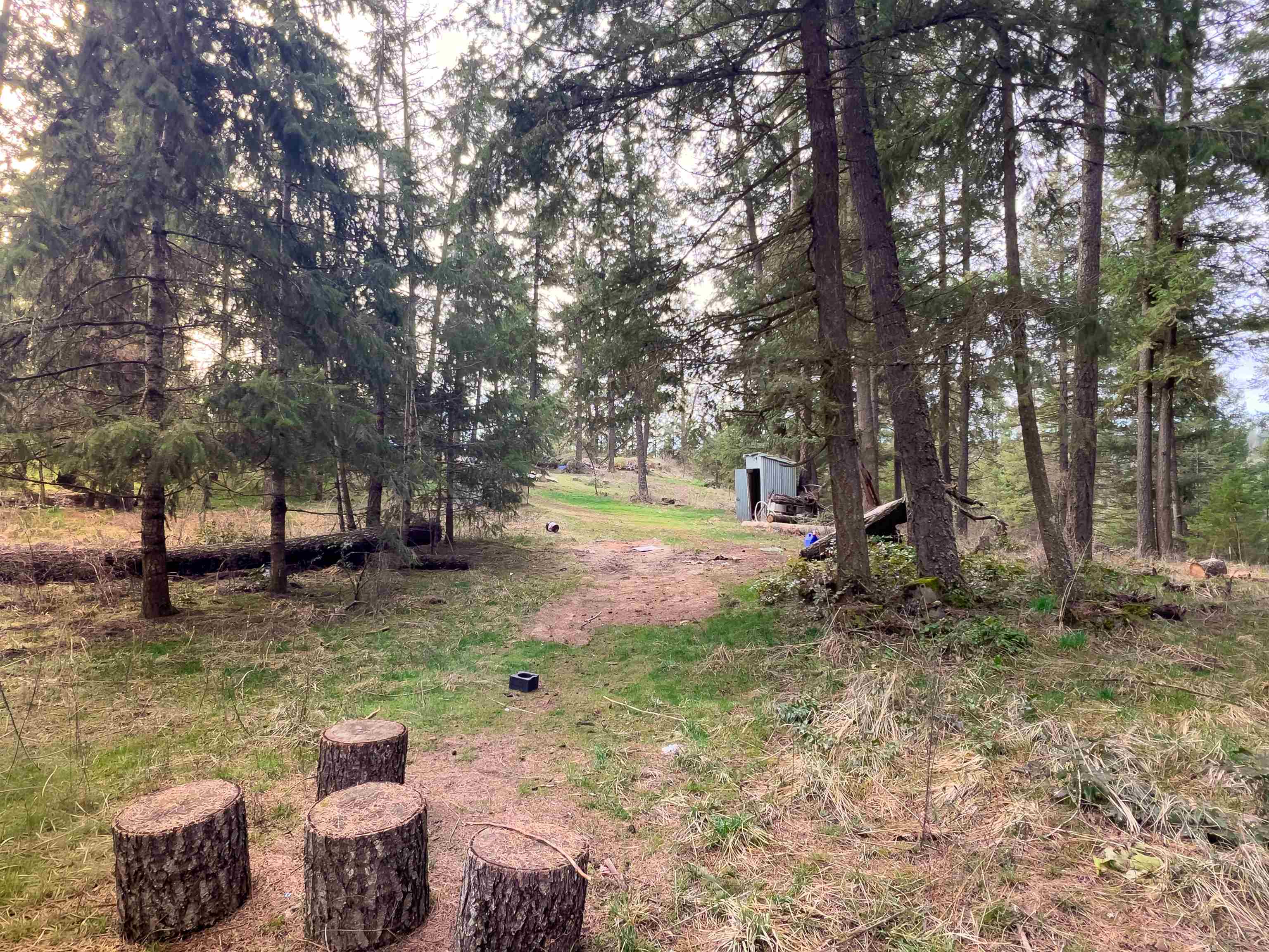 4591 Jepsen Rd - Photo 9