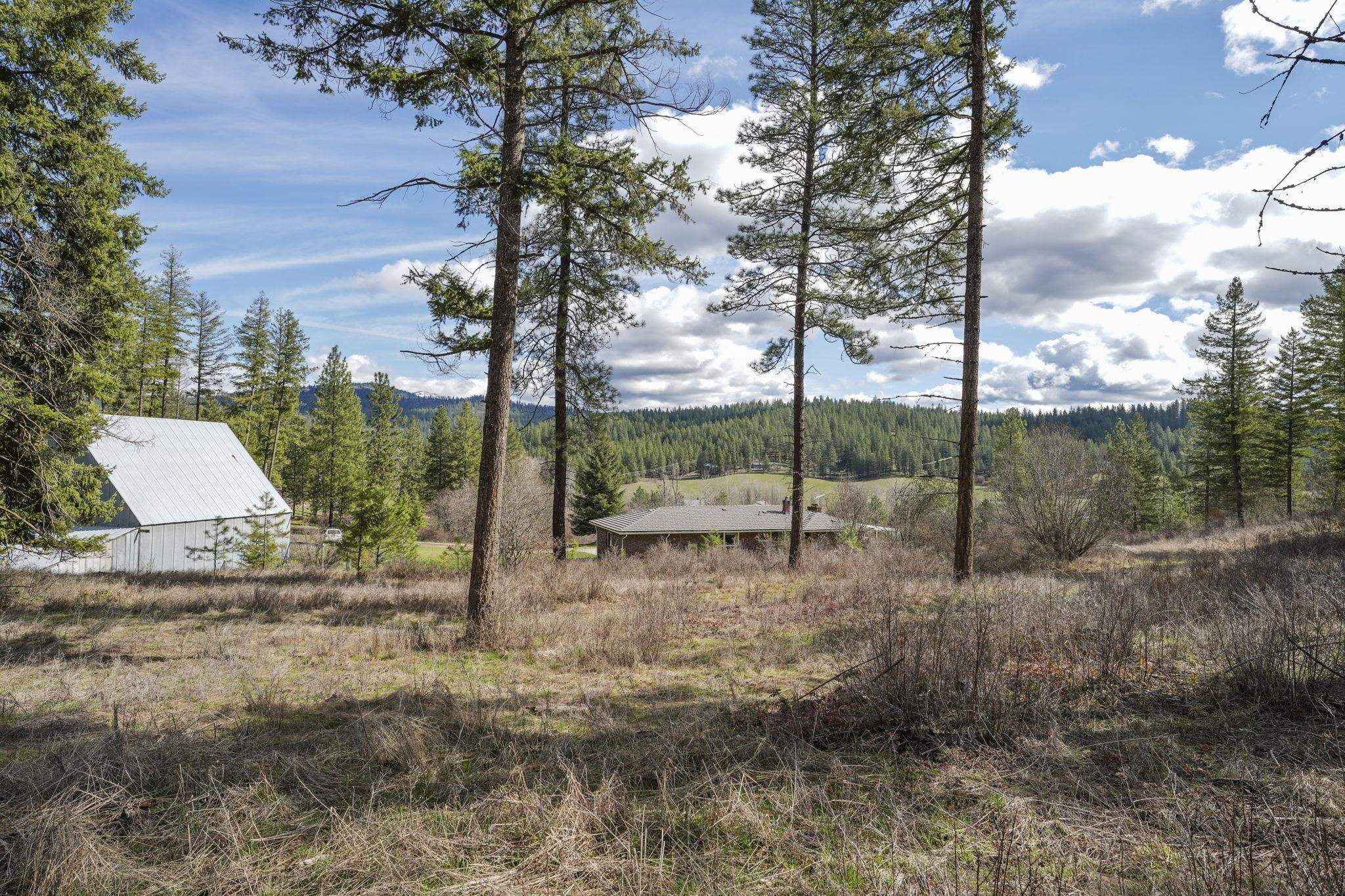 12904 E Sillman Rd - Photo 38