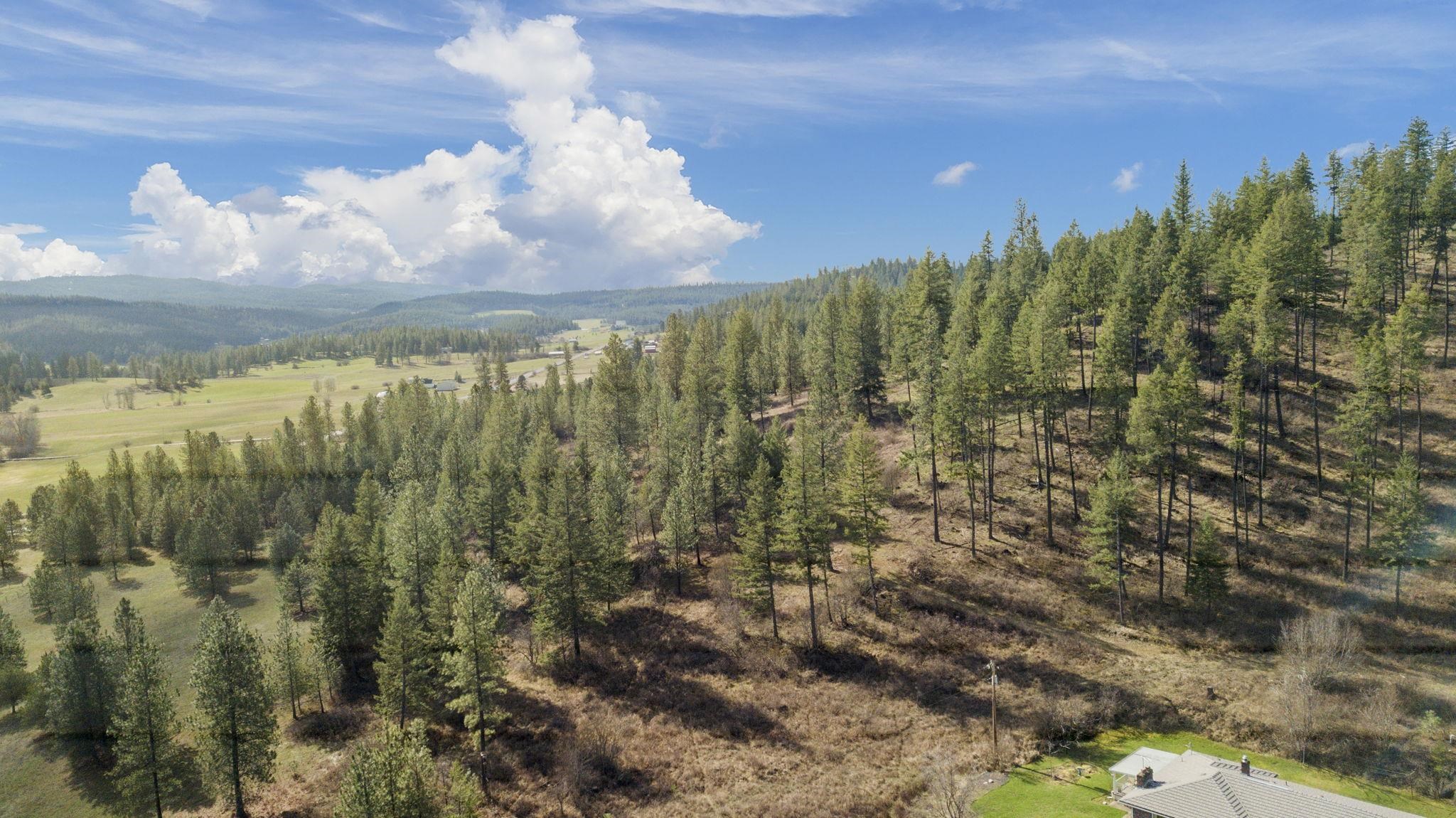 12904 E Sillman Rd - Photo 47