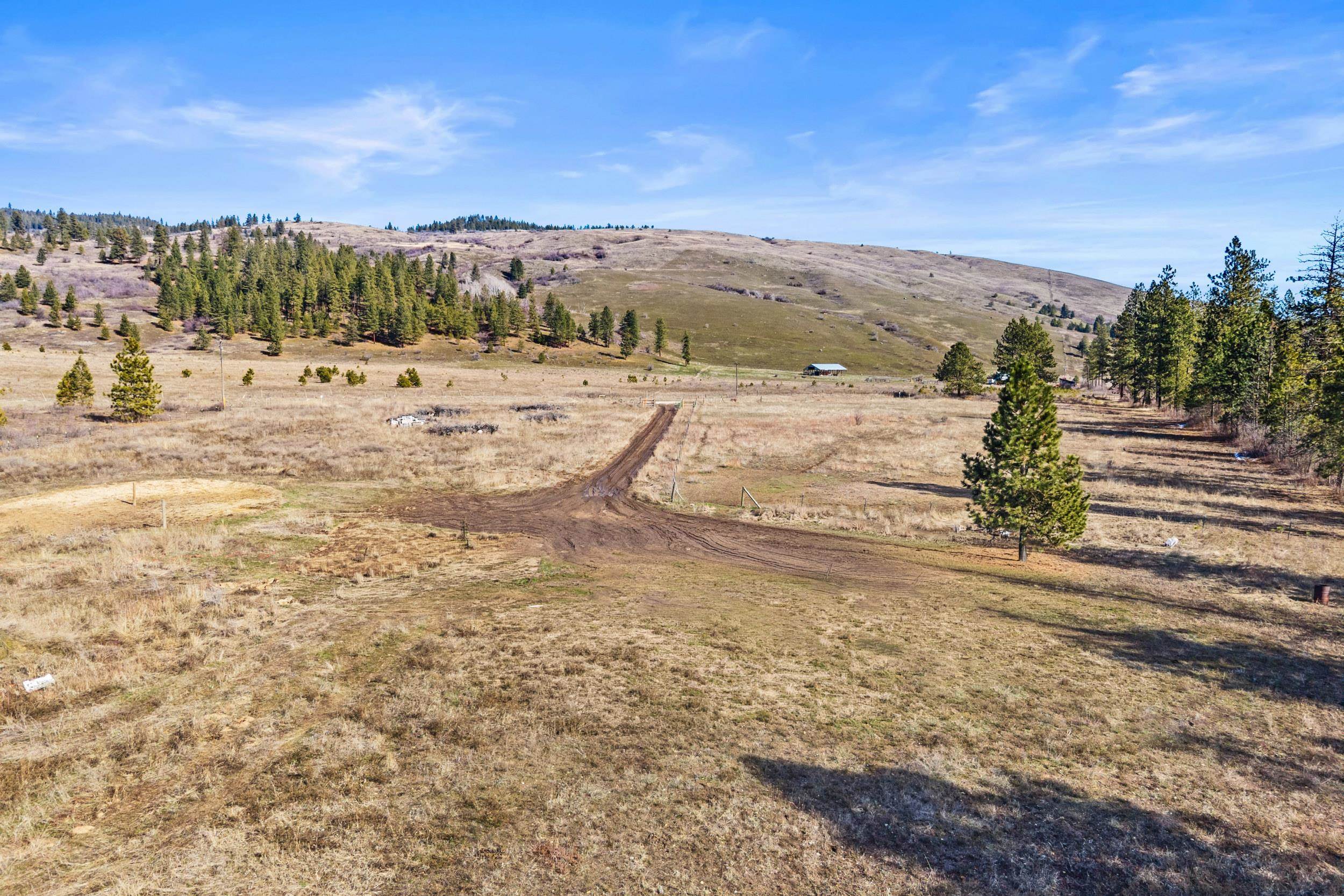 3006 Hall Creek Rd - Photo 11