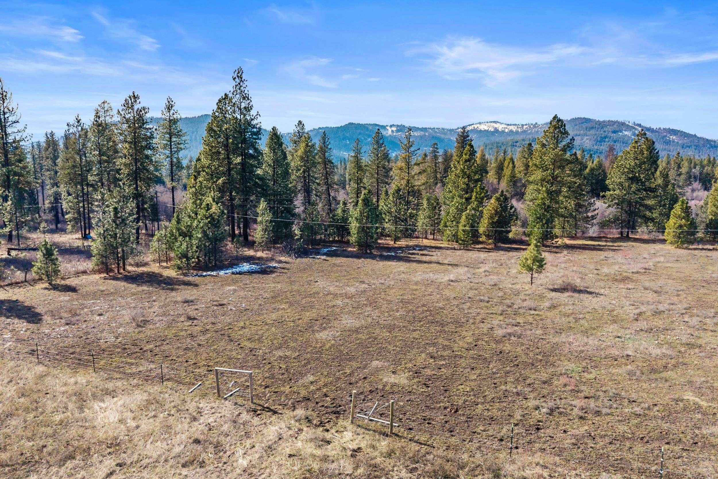 3006 Hall Creek Rd - Photo 4