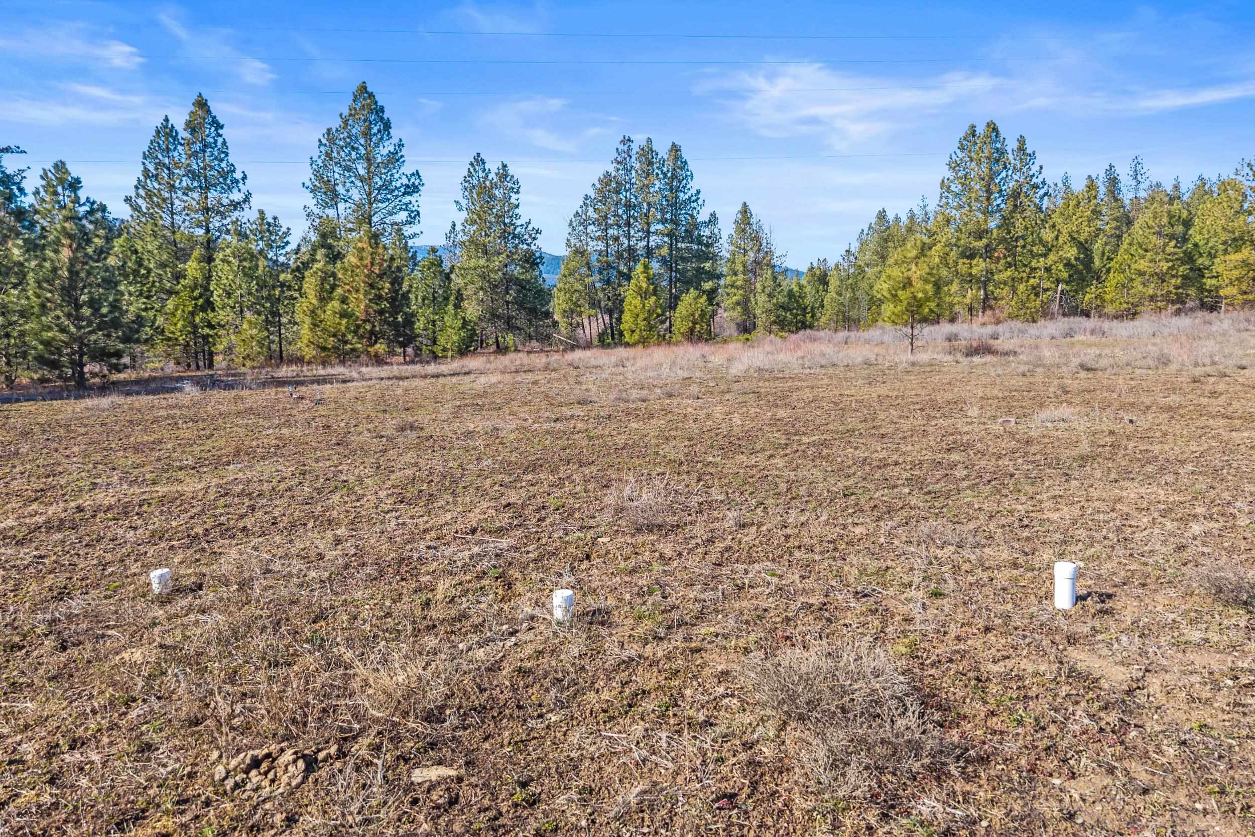 3006 Hall Creek Rd - Photo 5
