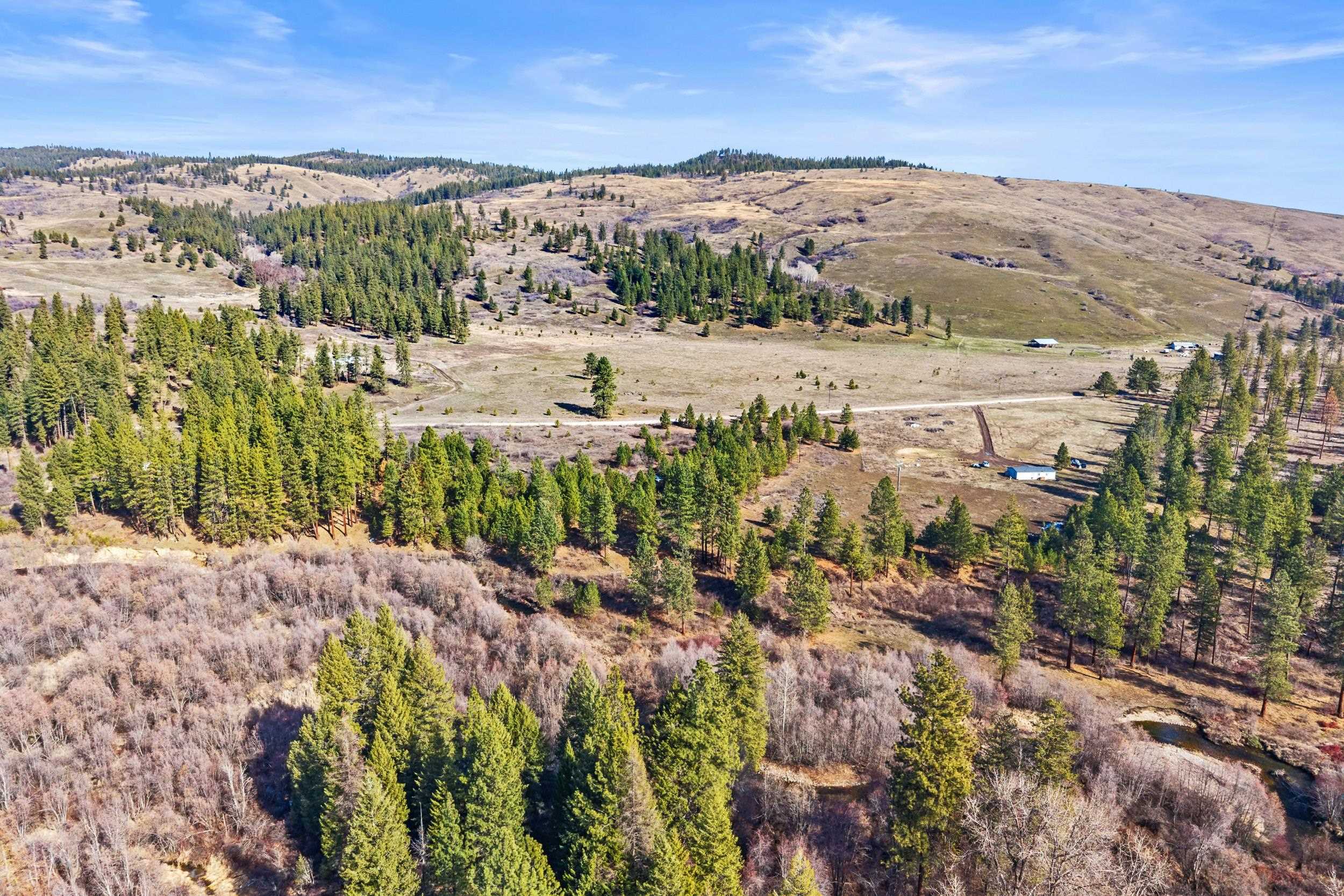 3006 Hall Creek Rd - Photo 8