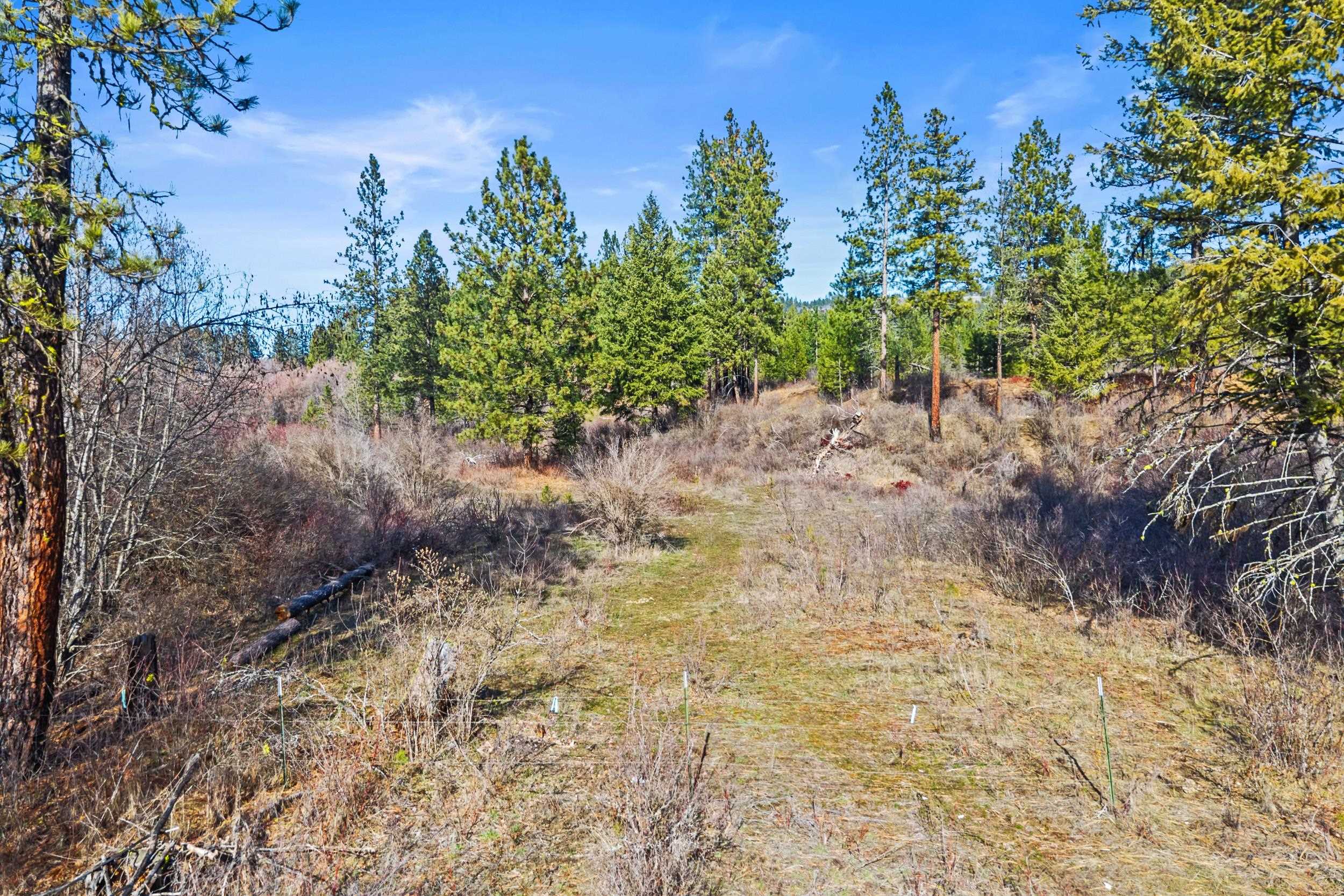 3006 Hall Creek Rd - Photo 9
