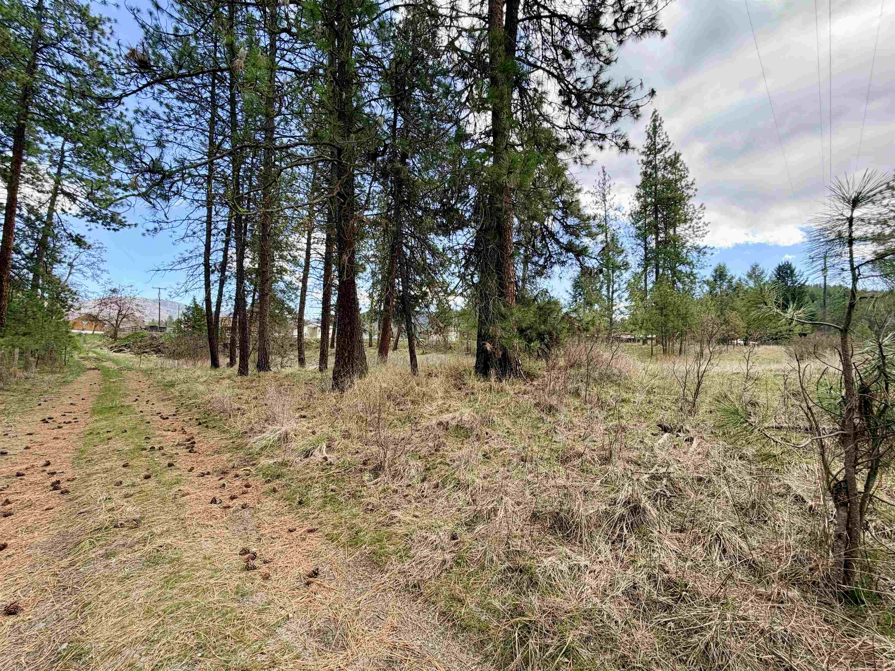 5378 Hwy 25 S - Photo 8
