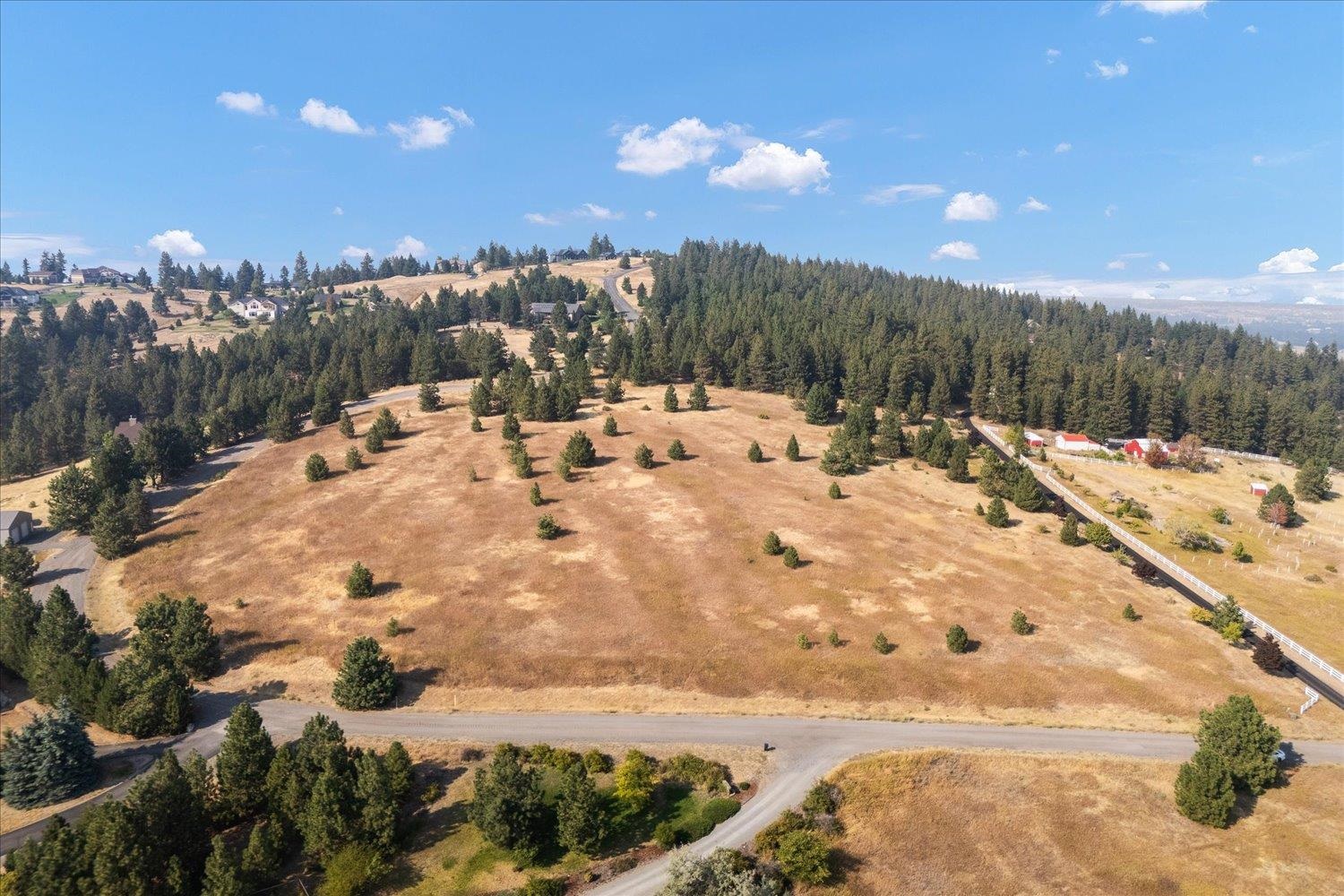 15013 S Palomino Ln - Photo 6
