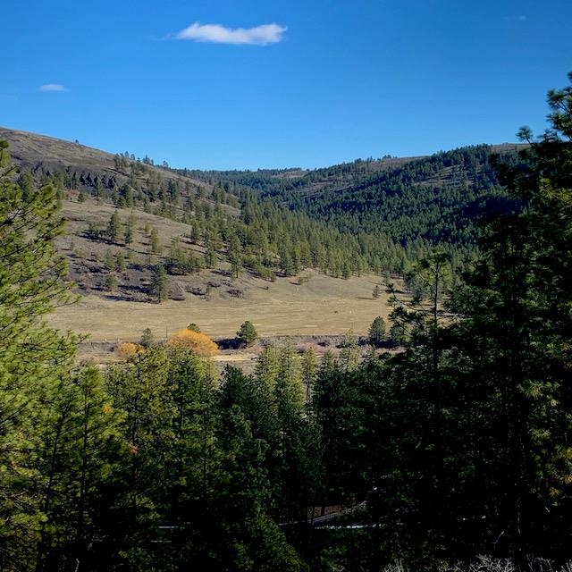 Lot 2 Scenic Short Plat Dr - Photo 1