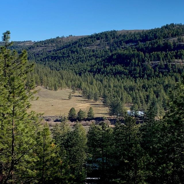 Lot 2 Scenic Short Plat Dr - Photo 2