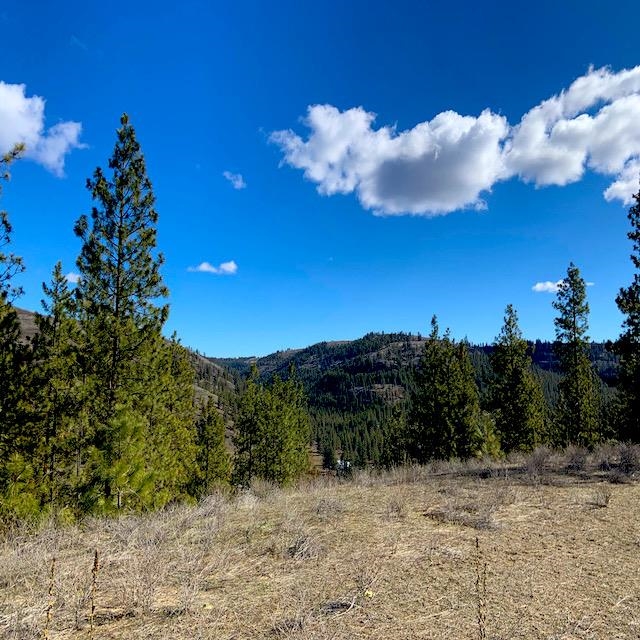 Lot 2 Scenic Short Plat Dr - Photo 3