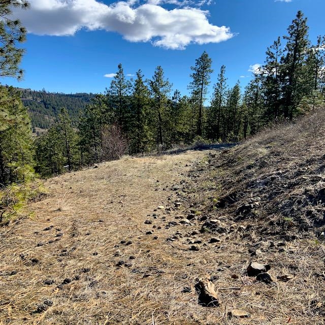Lot 2 Scenic Short Plat Dr - Photo 4