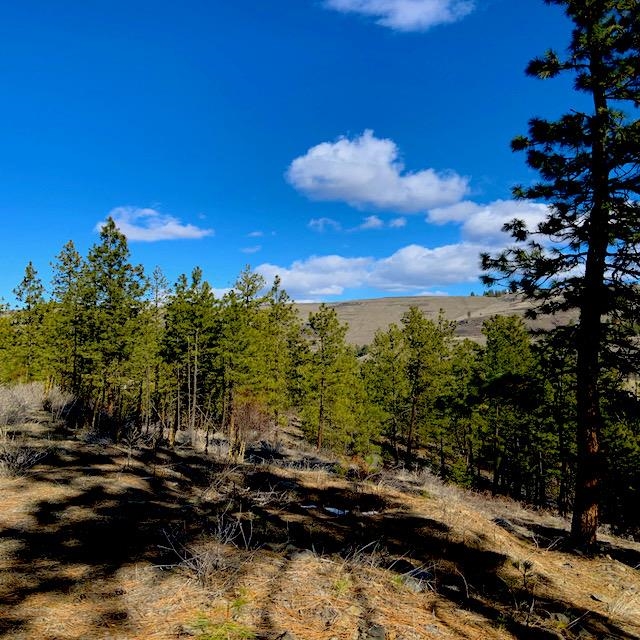 Lot 2 Scenic Short Plat Dr - Photo 5