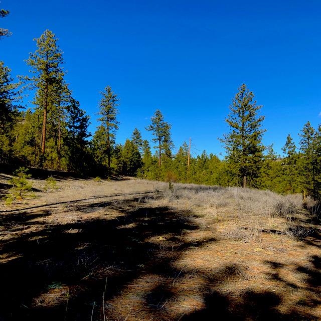 Lot 2 Scenic Short Plat Dr - Photo 6