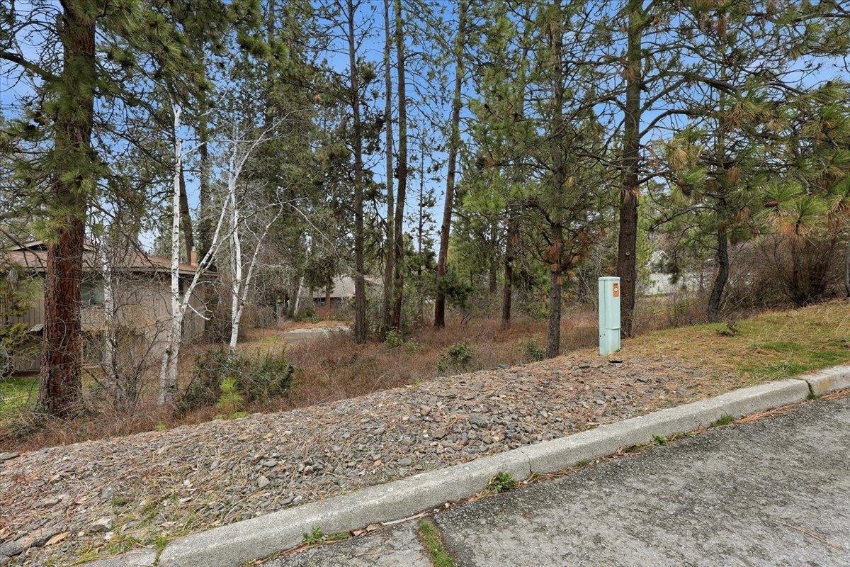 1835 E Pinecrest Rd - Photo 1
