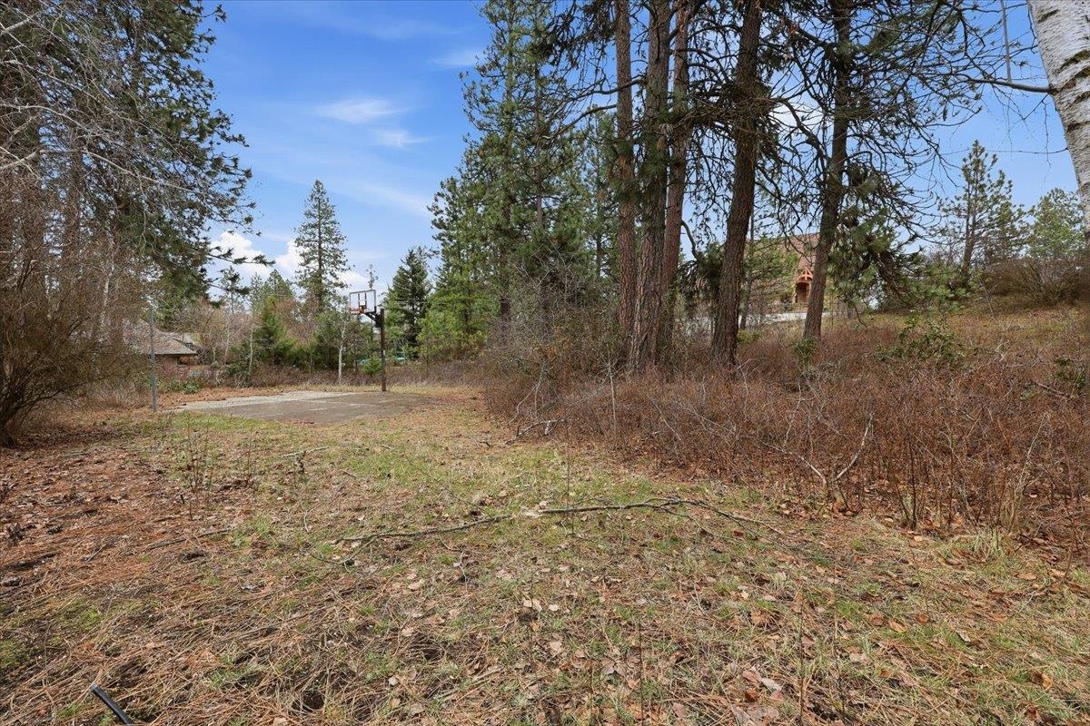 1835 E Pinecrest Rd - Photo 3