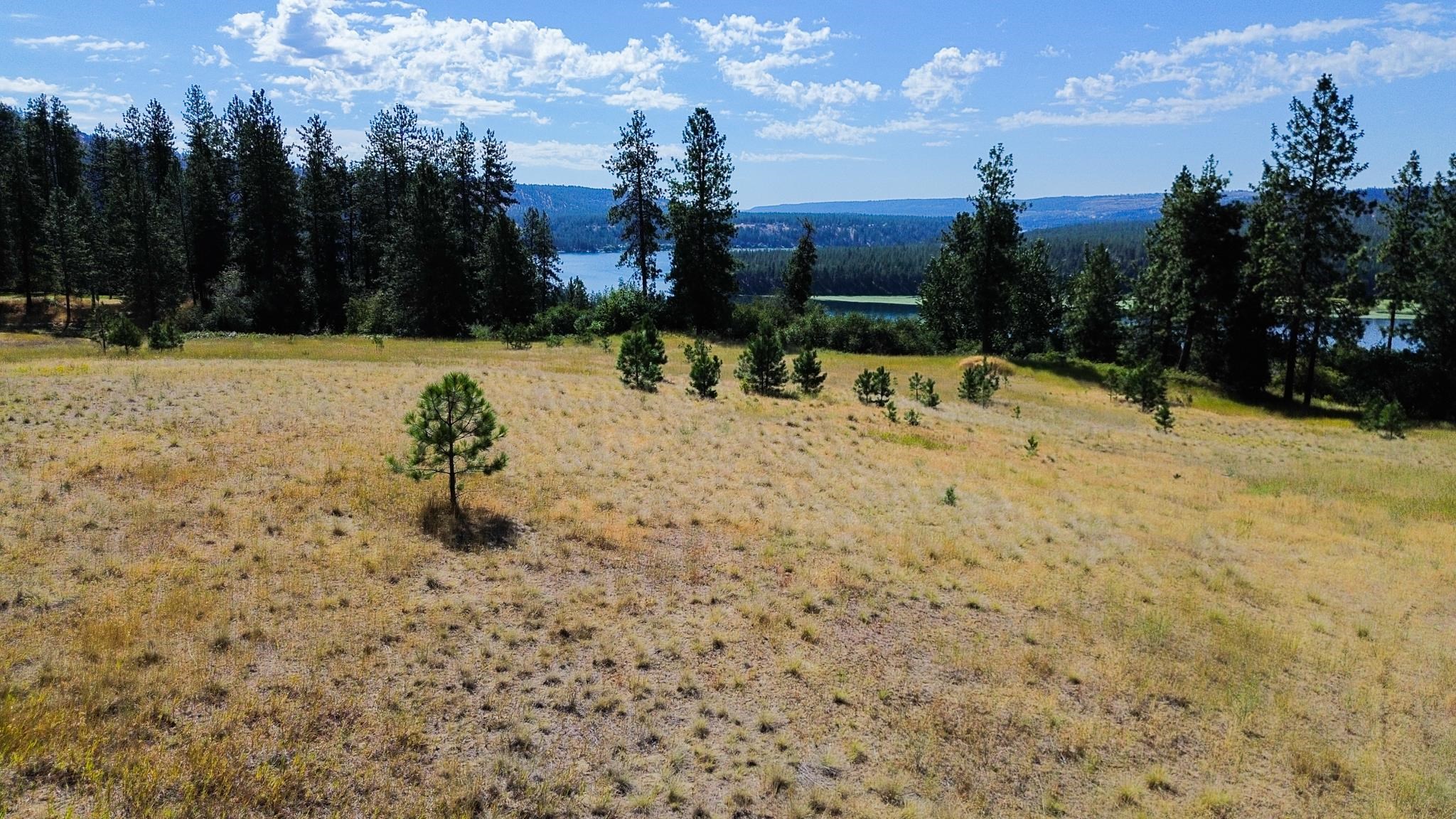 5677 Riverview Ln - Photo 16