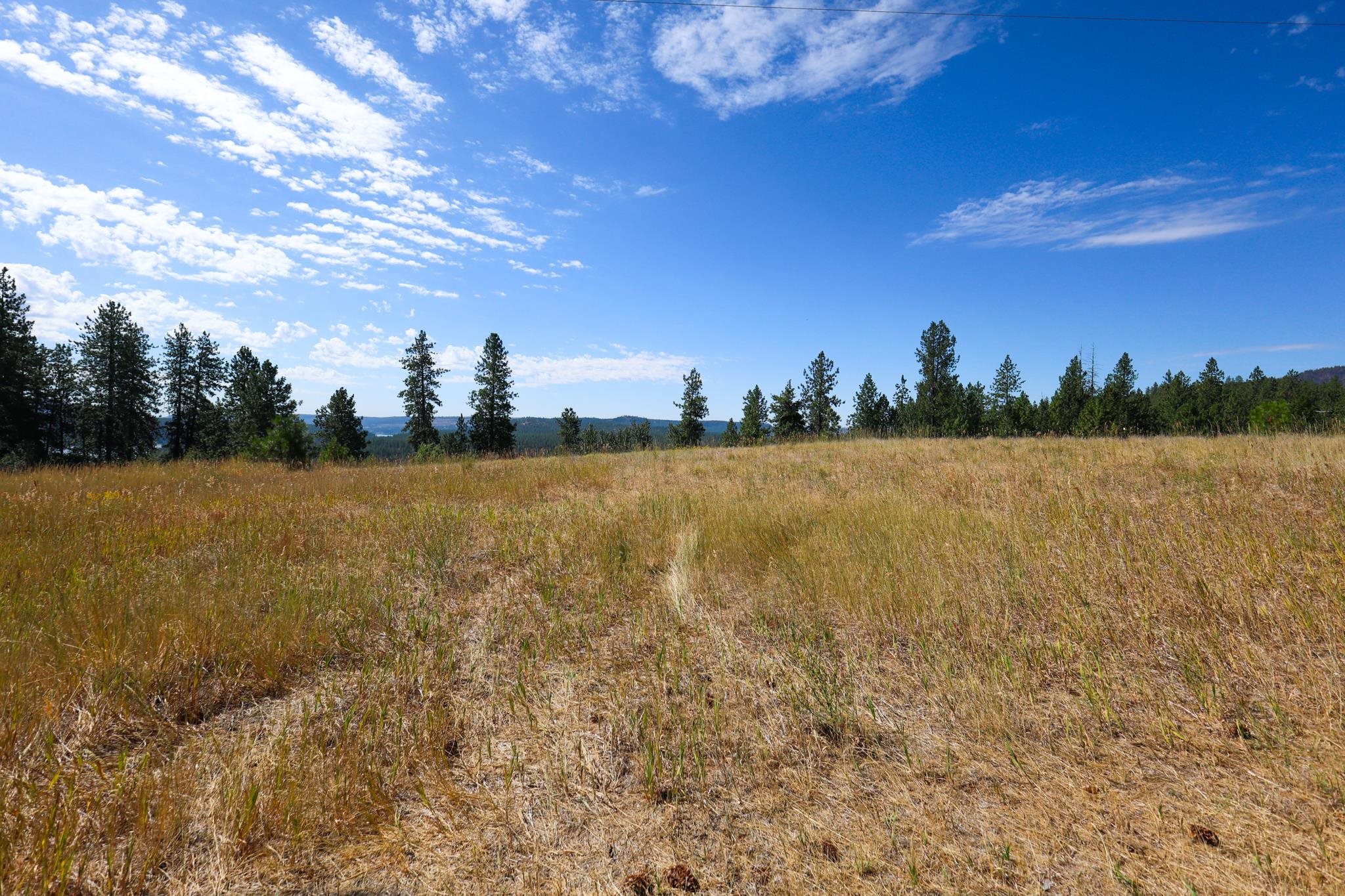 5677 Riverview Ln - Photo 9