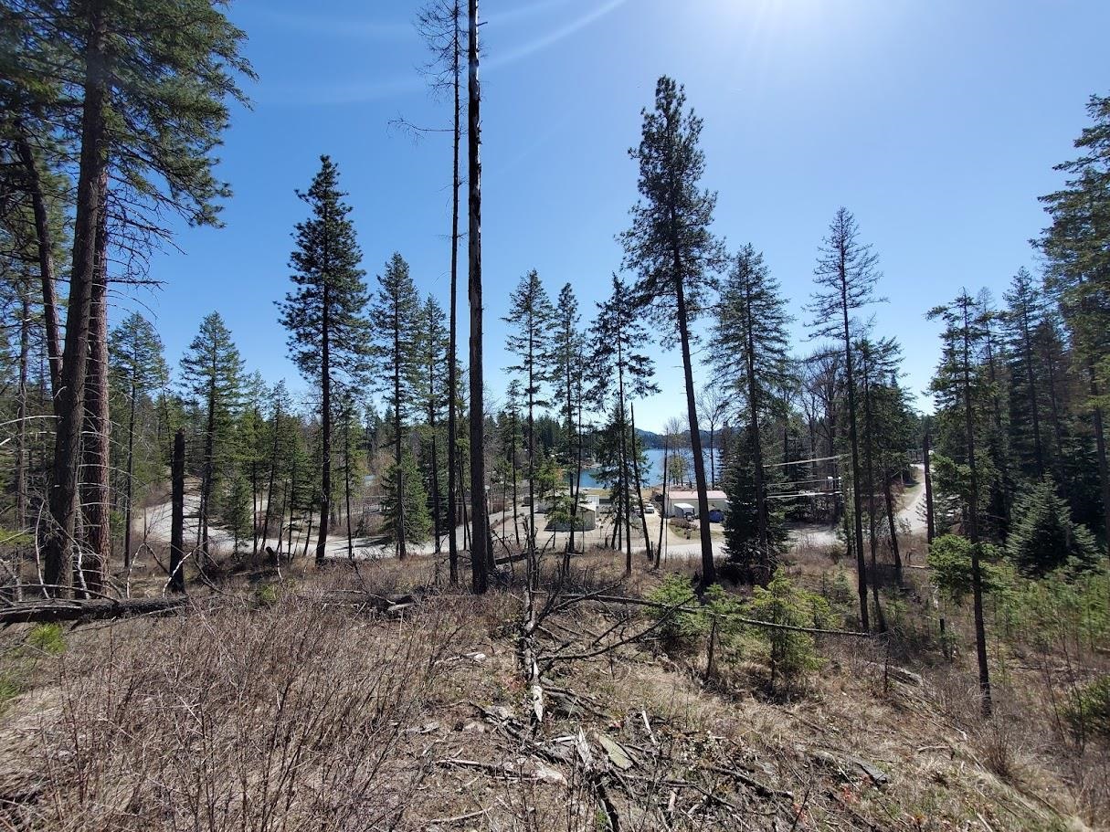 54XX Northshore Diamond Lake Rd Rd - Photo 11