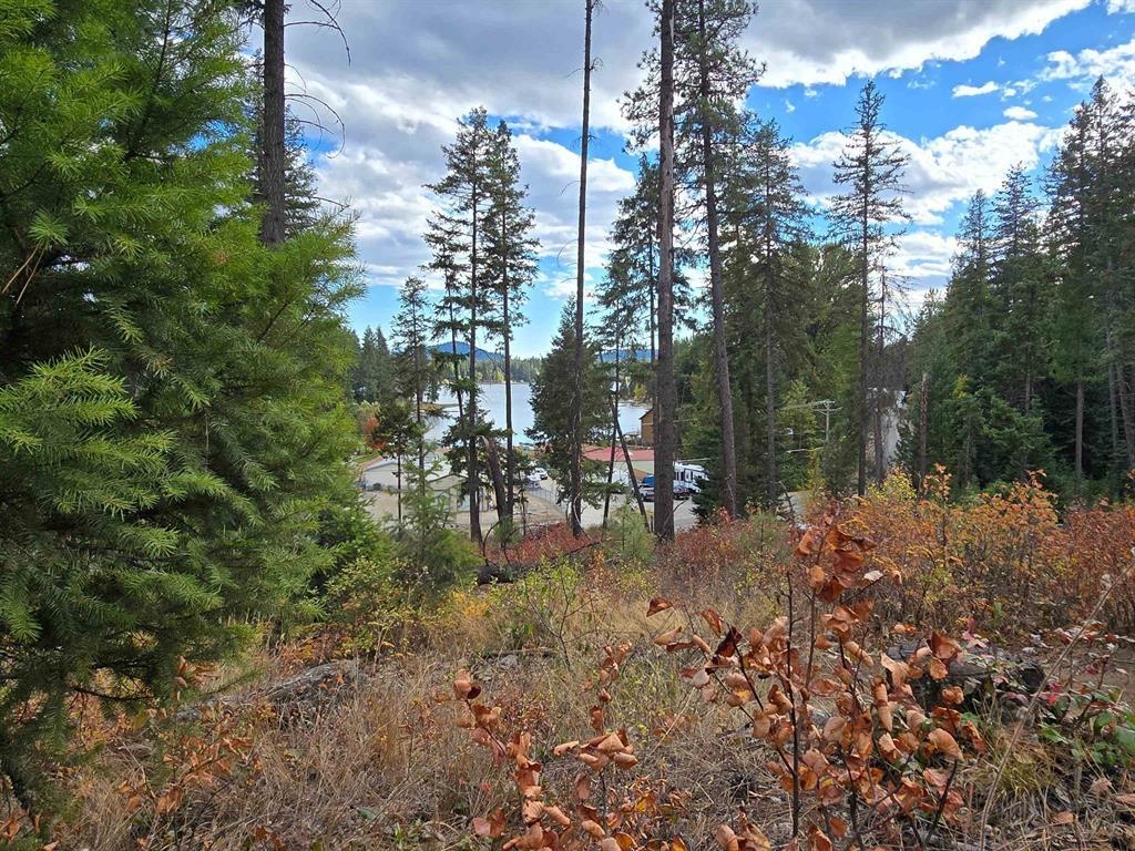 54XX Northshore Diamond Lake Rd Rd - Photo 14