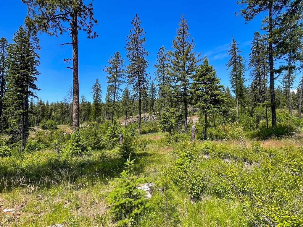 54XX Northshore Diamond Lake Rd Rd - Photo 16