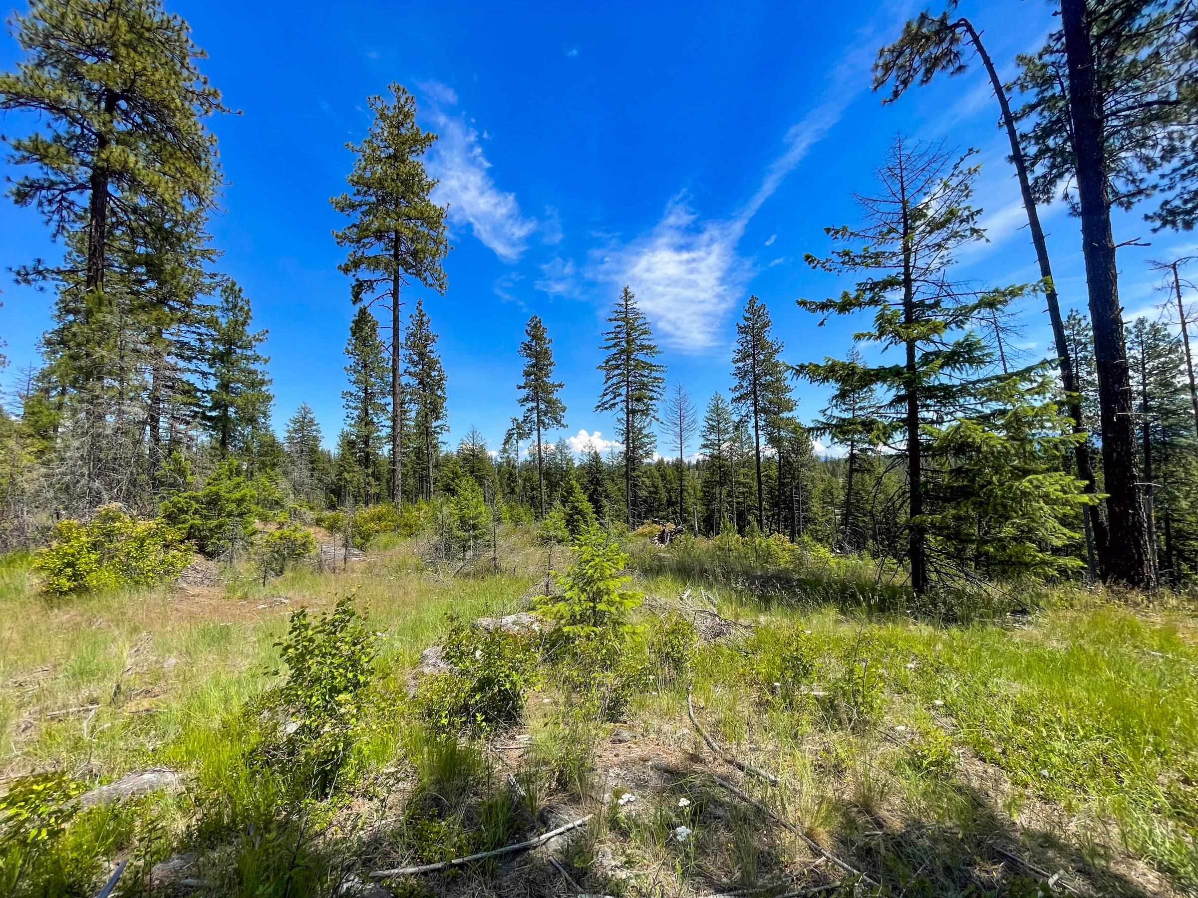 54XX Northshore Diamond Lake Rd Rd - Photo 19