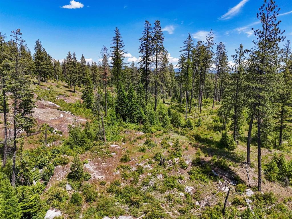 54XX Northshore Diamond Lake Rd Rd - Photo 3