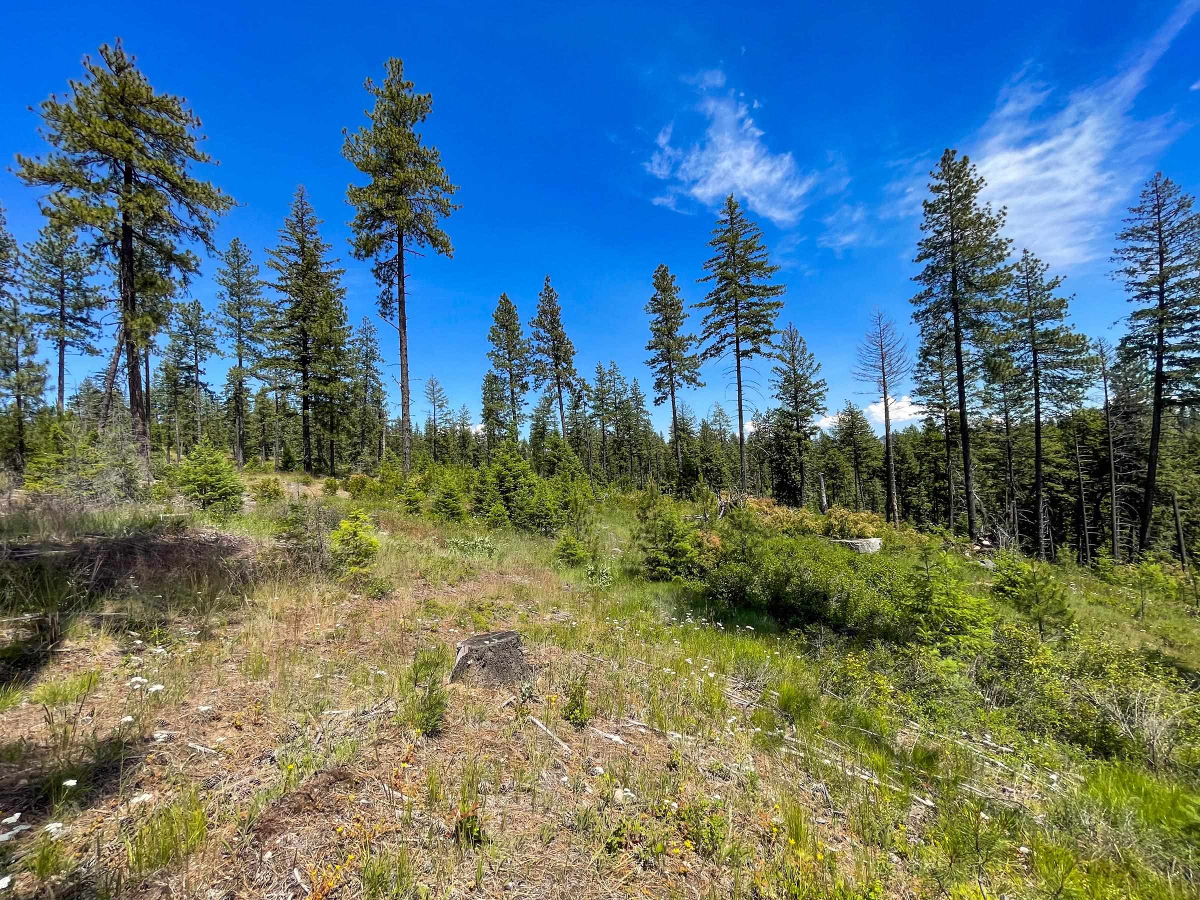 54XX Northshore Diamond Lake Rd Rd - Photo 21