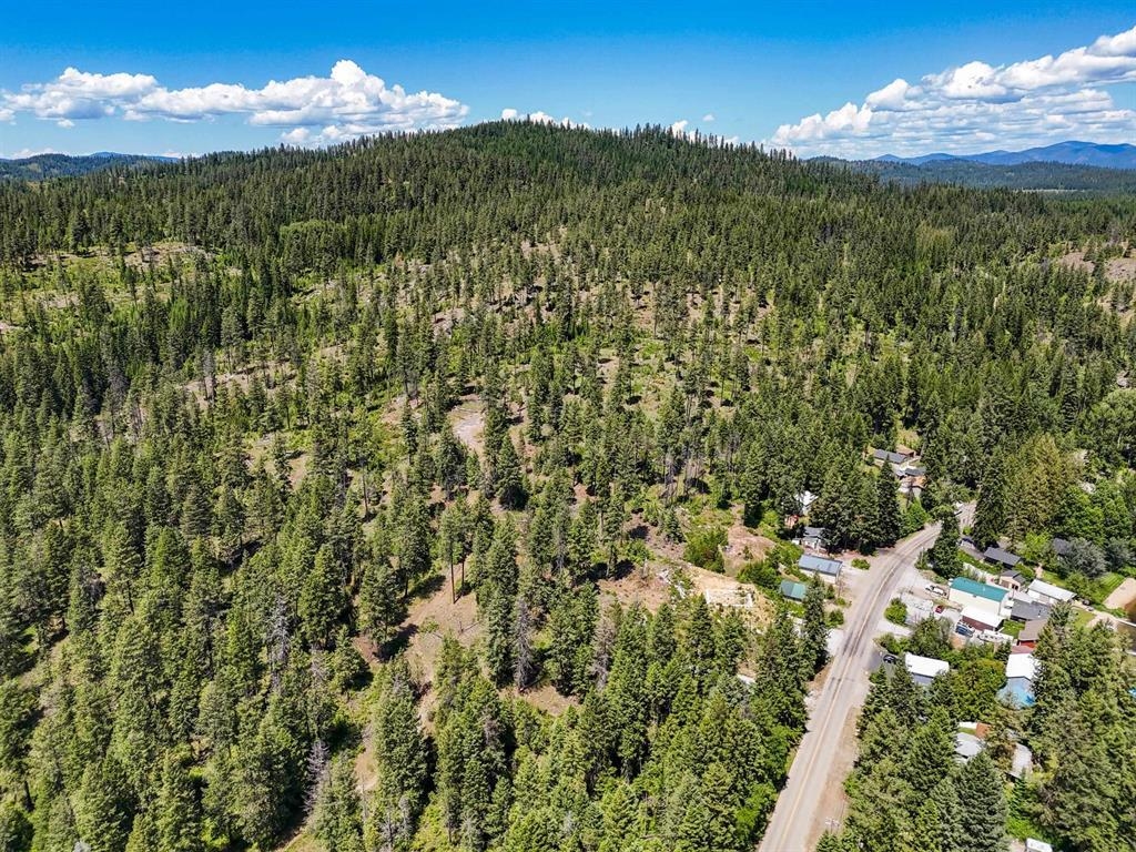 54XX Northshore Diamond Lake Rd Rd - Photo 4