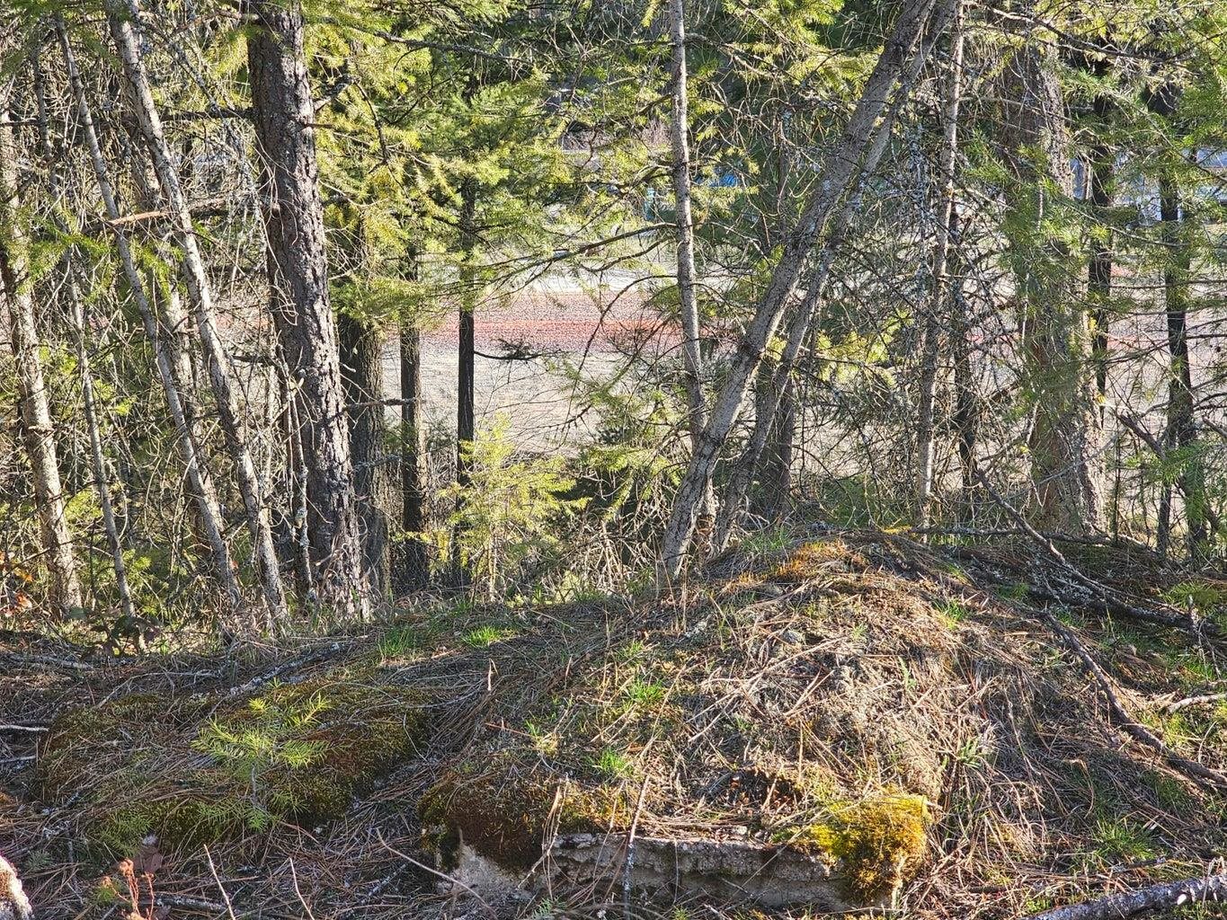 346 Old Dominion Rd - Photo 19