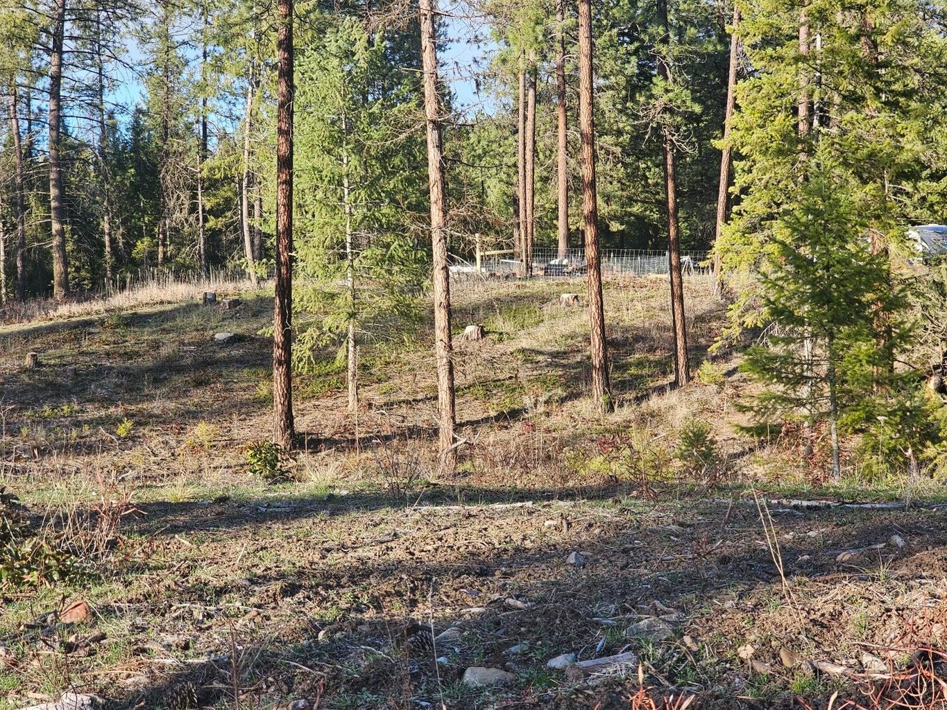 346 Old Dominion Rd - Photo 31