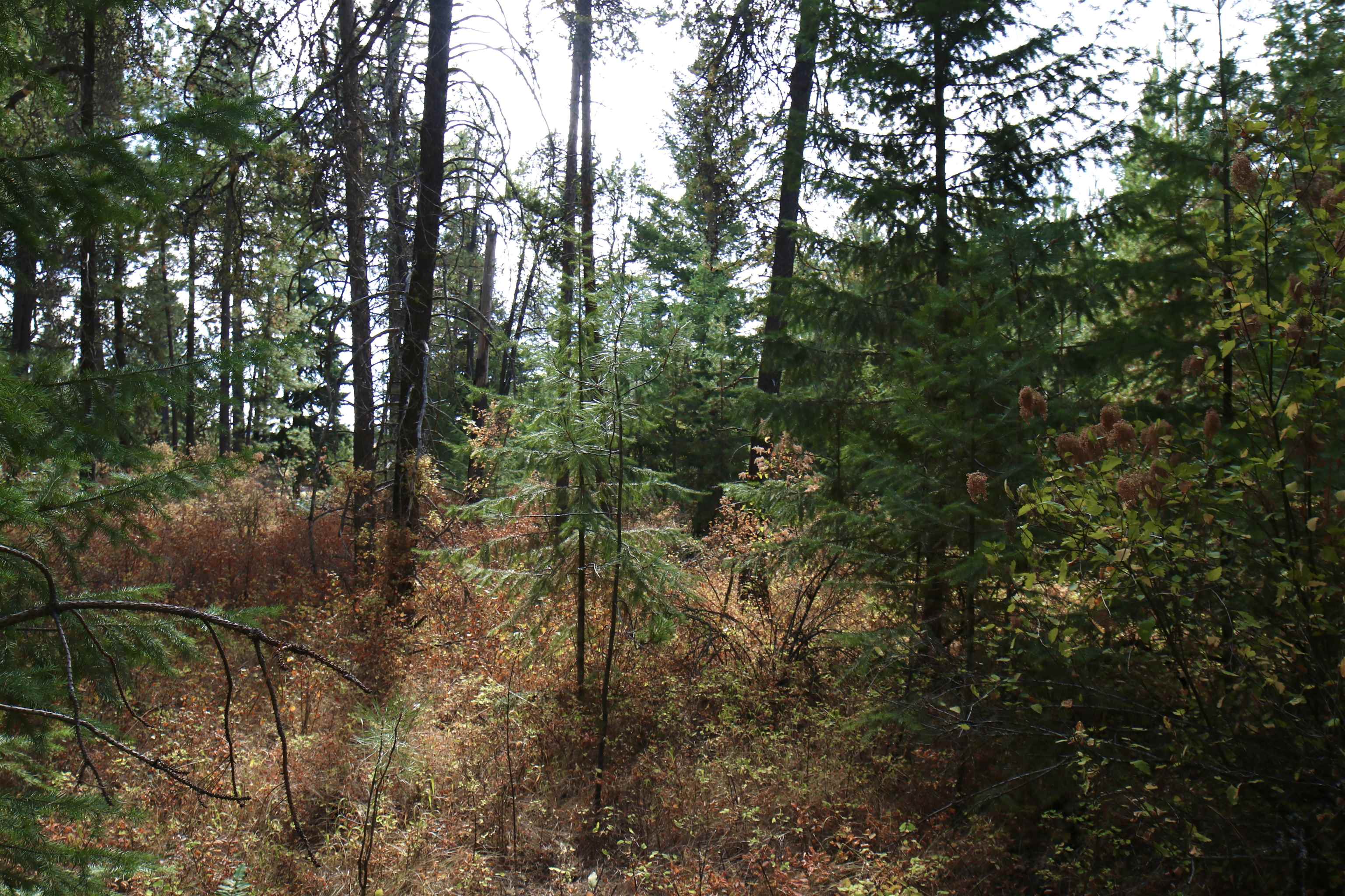 XX N Waldrons Ln - Photo 14
