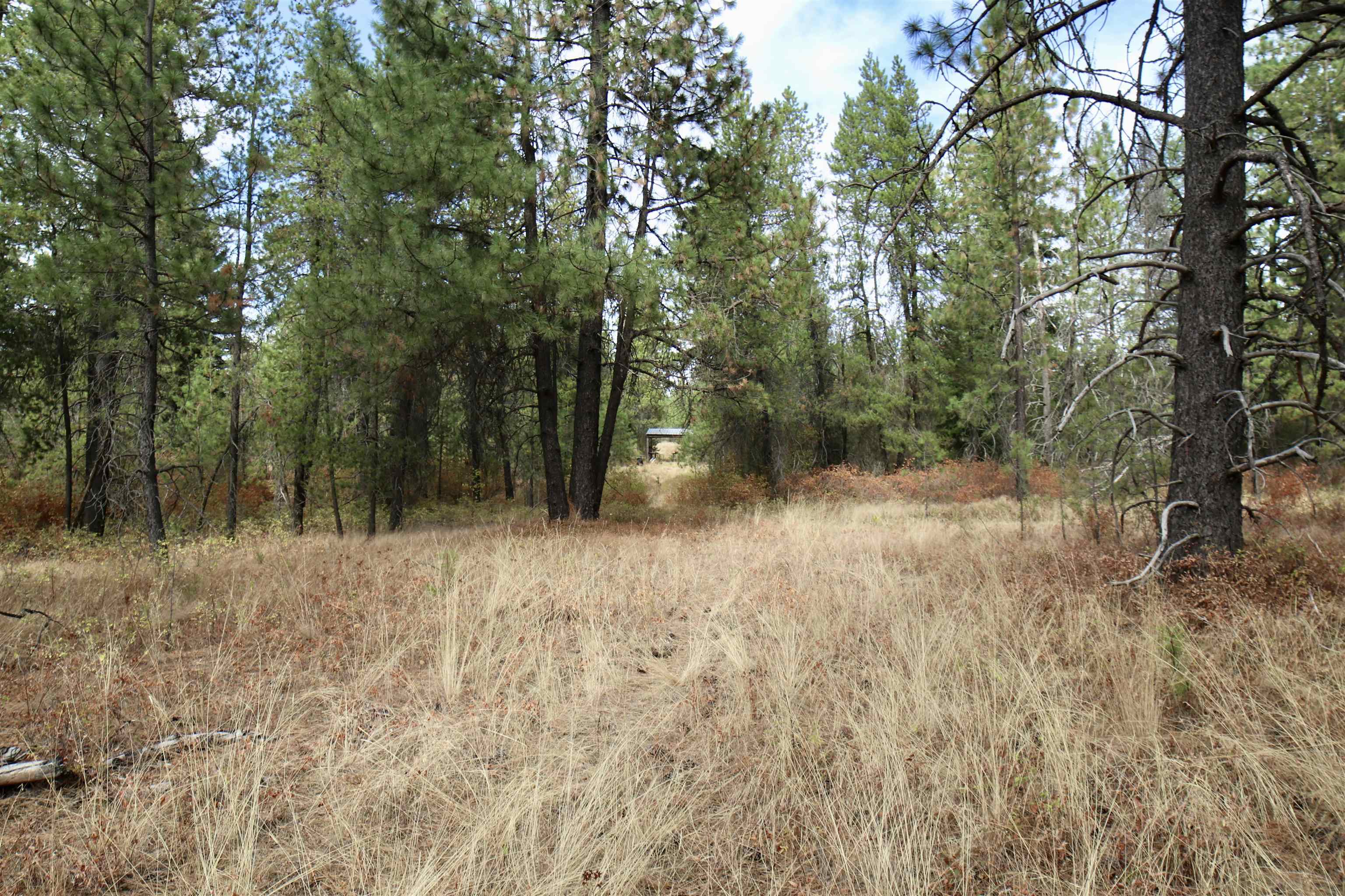 XX N Waldrons Ln - Photo 21
