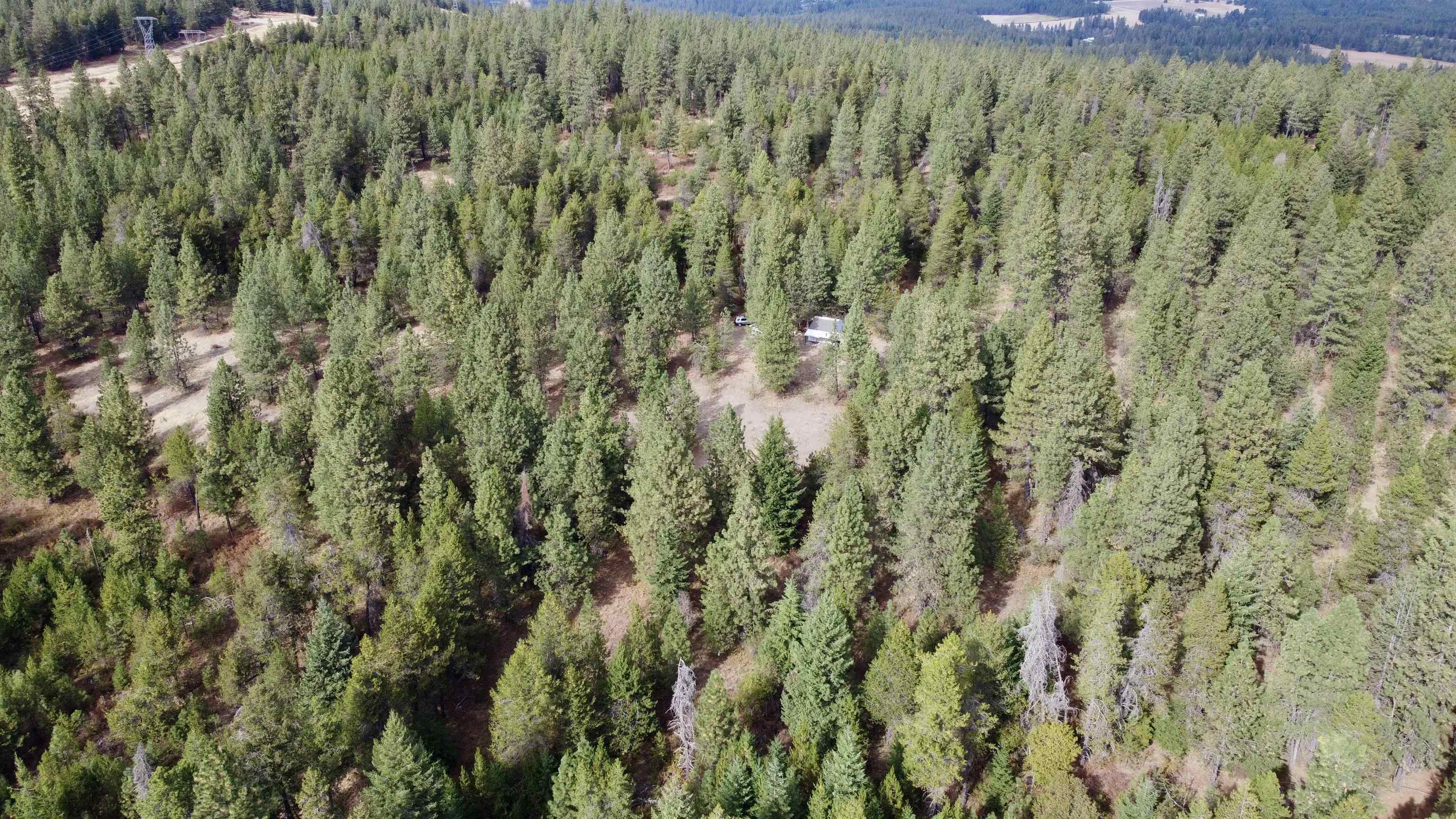 XX N Waldrons Ln - Photo 25
