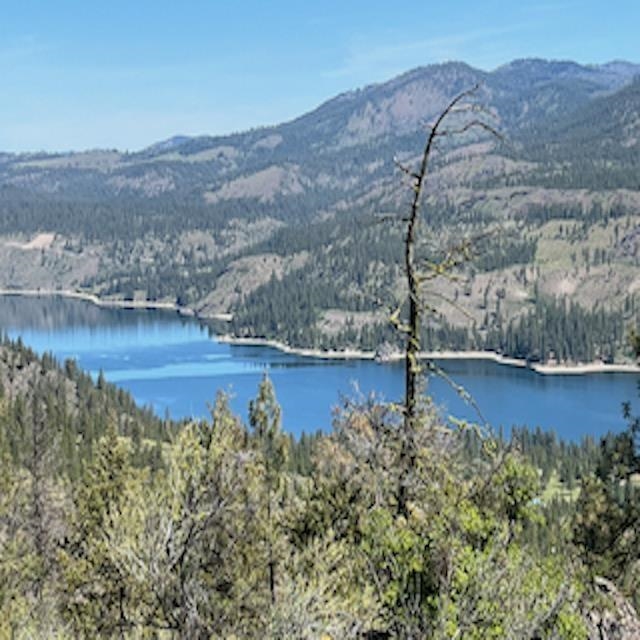Lot 17 Bighorn Dr - Photo 2