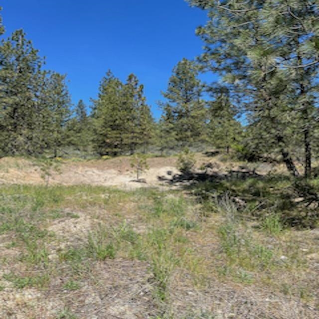 Lot 17 Bighorn Dr - Photo 12