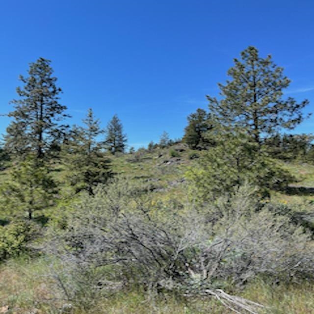 Lot 17 Bighorn Dr - Photo 14
