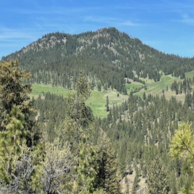 Lot 17 Bighorn Dr - Photo 16