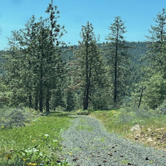 Lot 17 Bighorn Dr - Photo 17