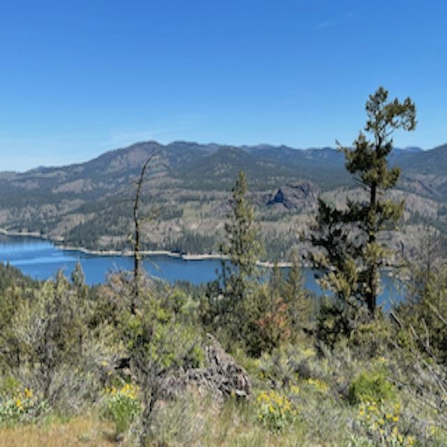 Lot 17 Bighorn Dr - Photo 3