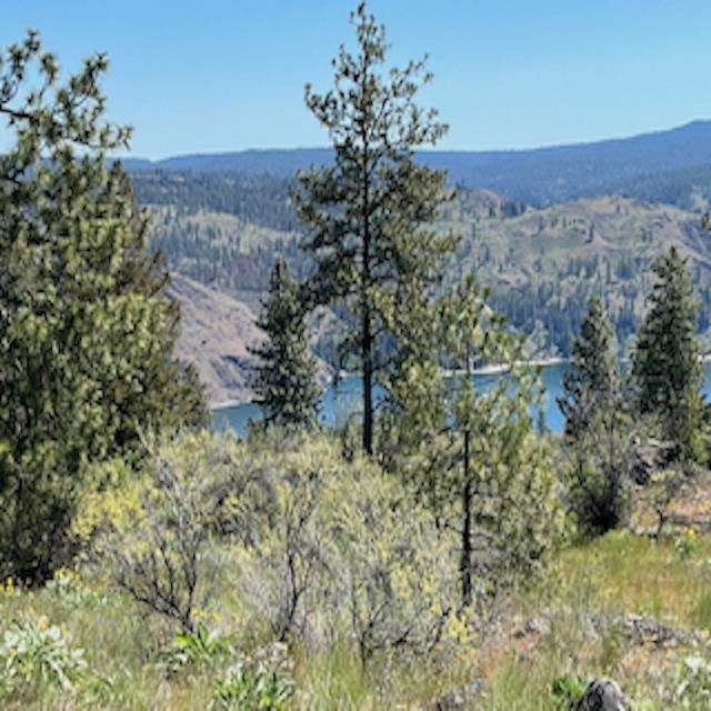 Lot 17 Bighorn Dr - Photo 6