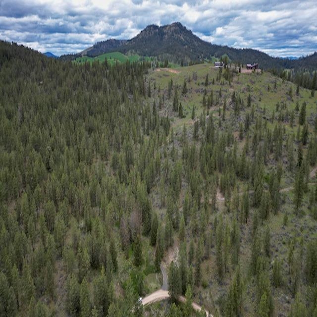 Lot 17 Bighorn Dr - Photo 8
