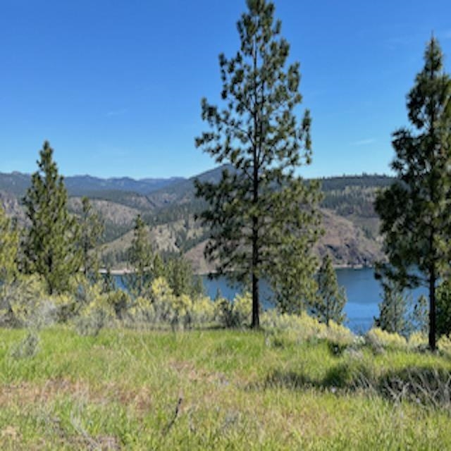 Lot 13 Quill Dr - Photo 2